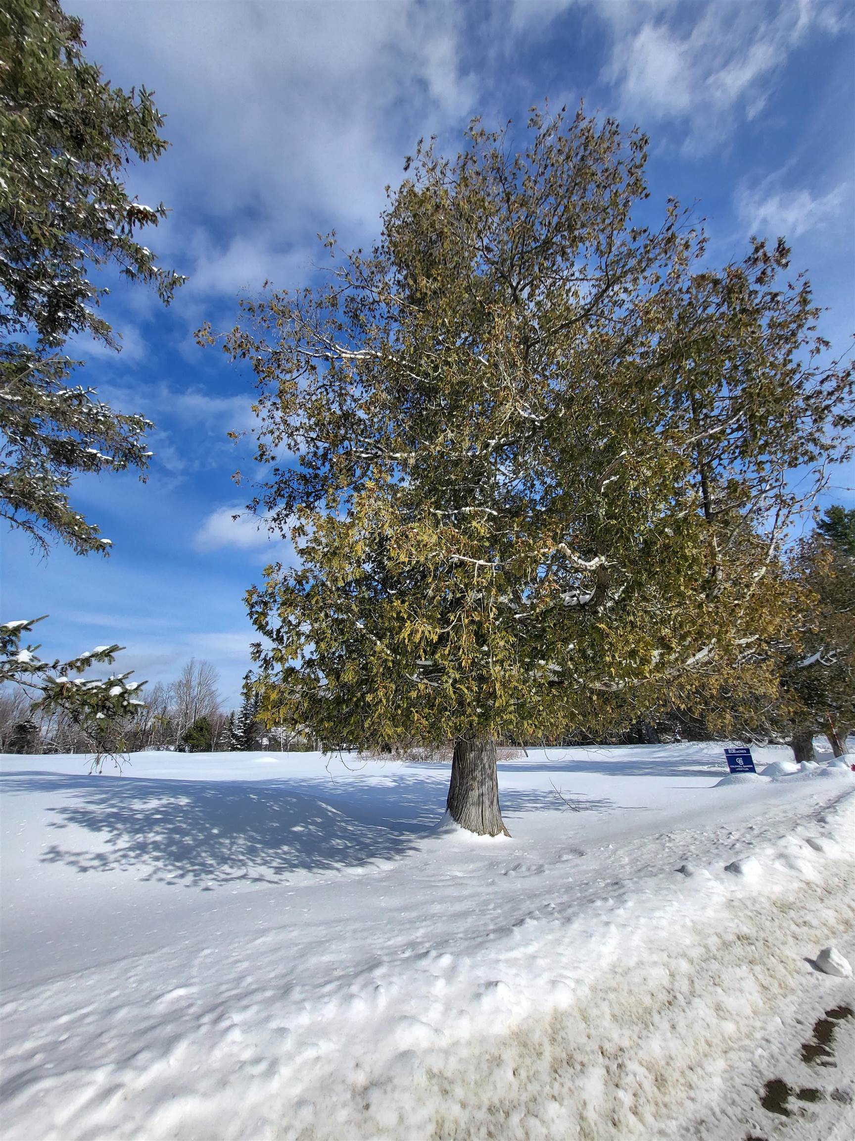 000 Mountain View Rd, Whitefield, NH 03598
