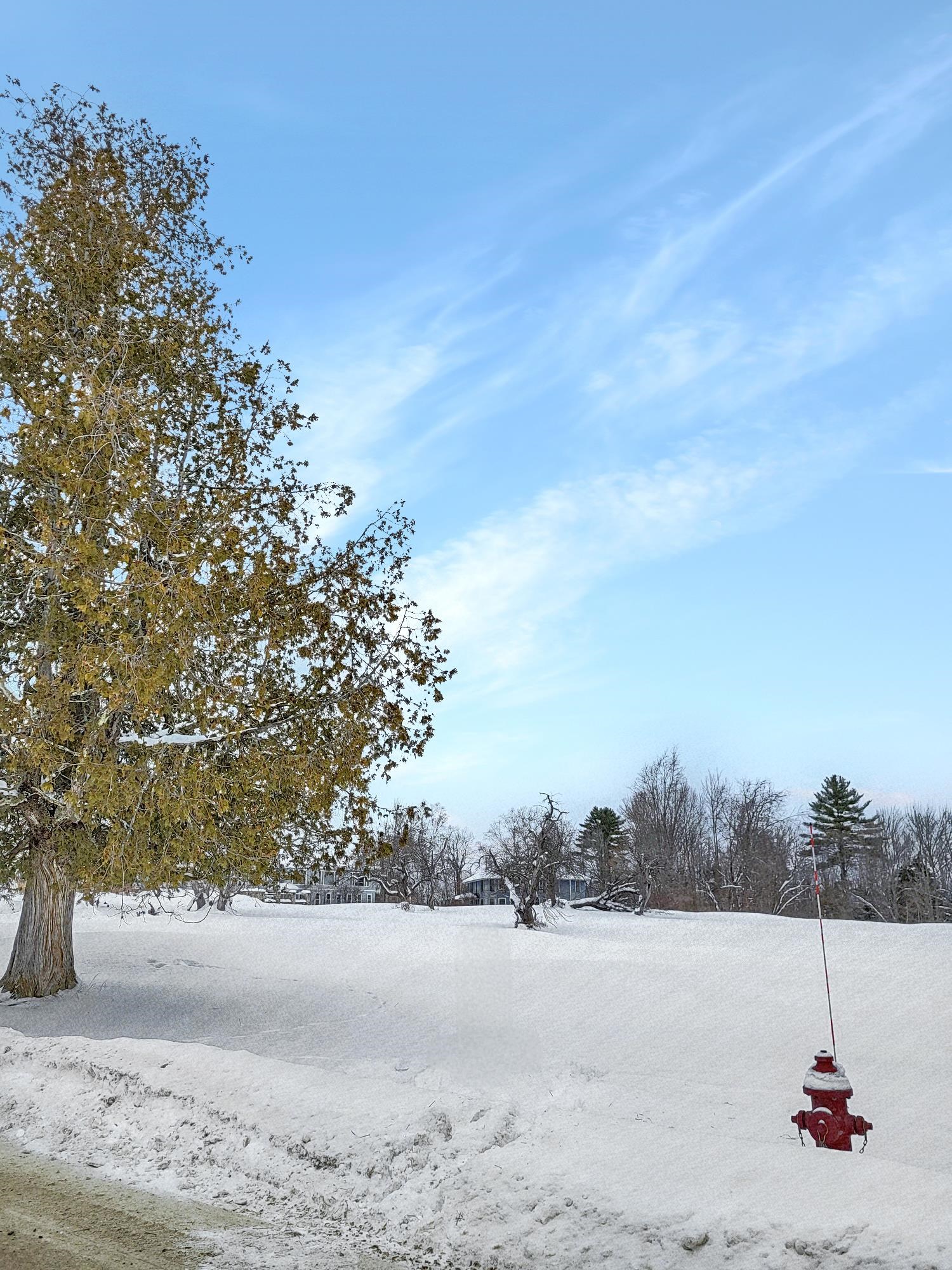 000 Mountain View Rd, Whitefield, NH 03598