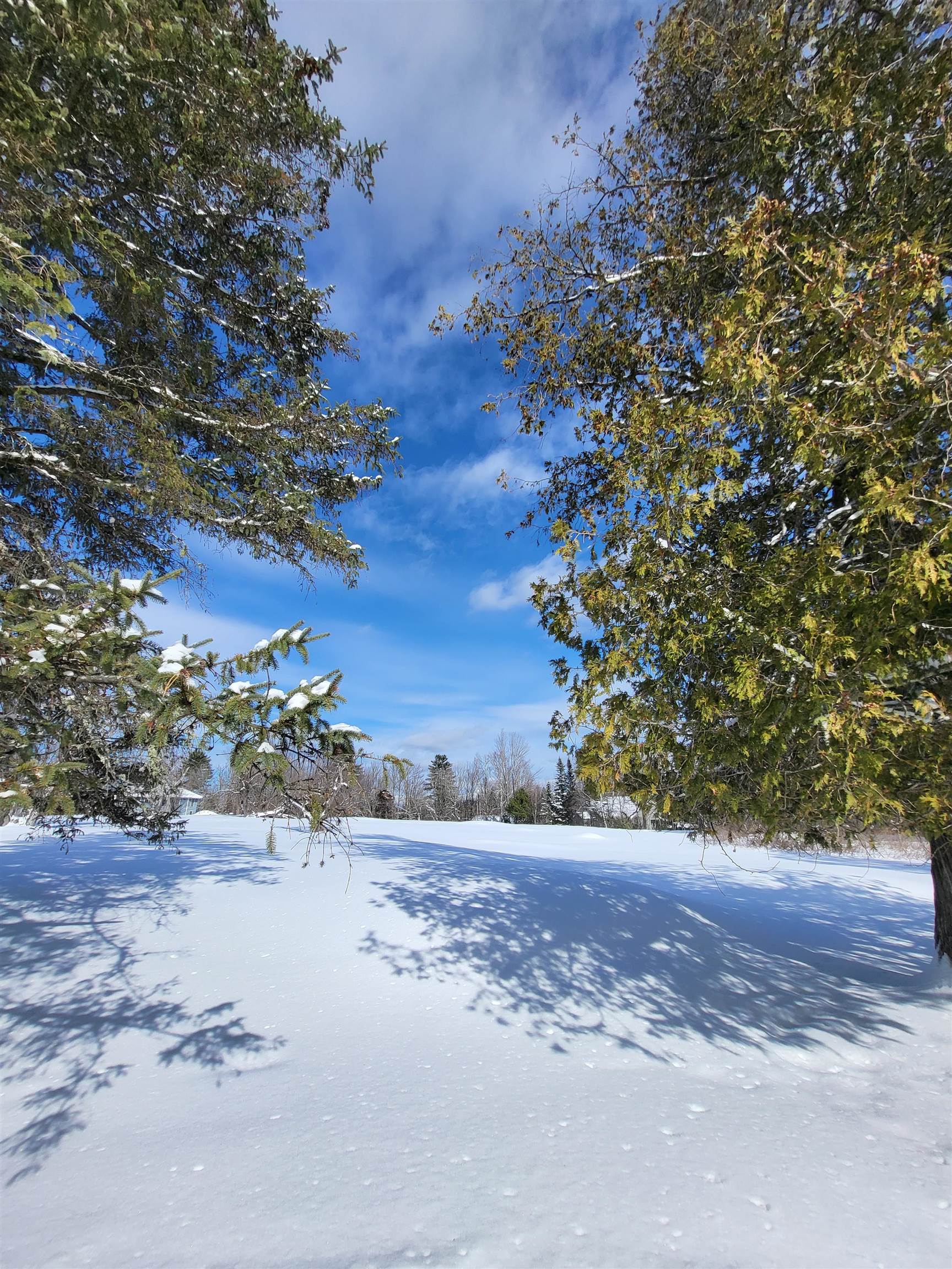 000 Mountain View Rd, Whitefield, NH 03598