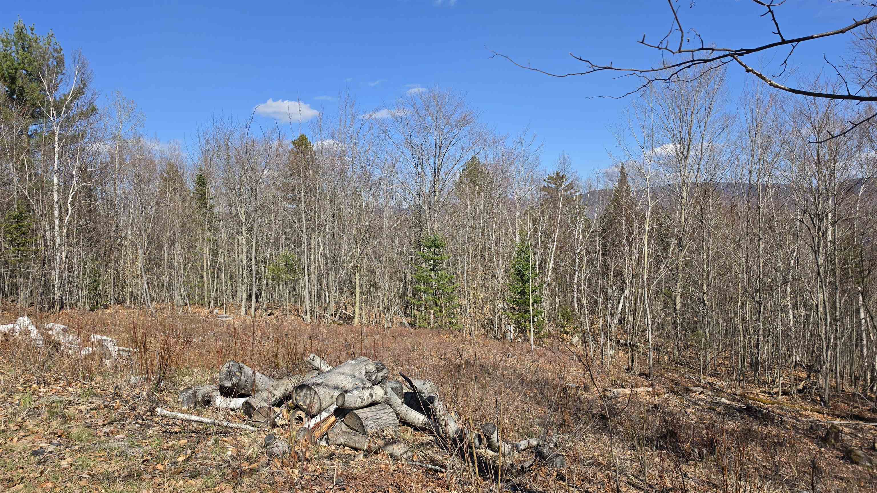 Cates Hill Rd, Berlin, NH 03570