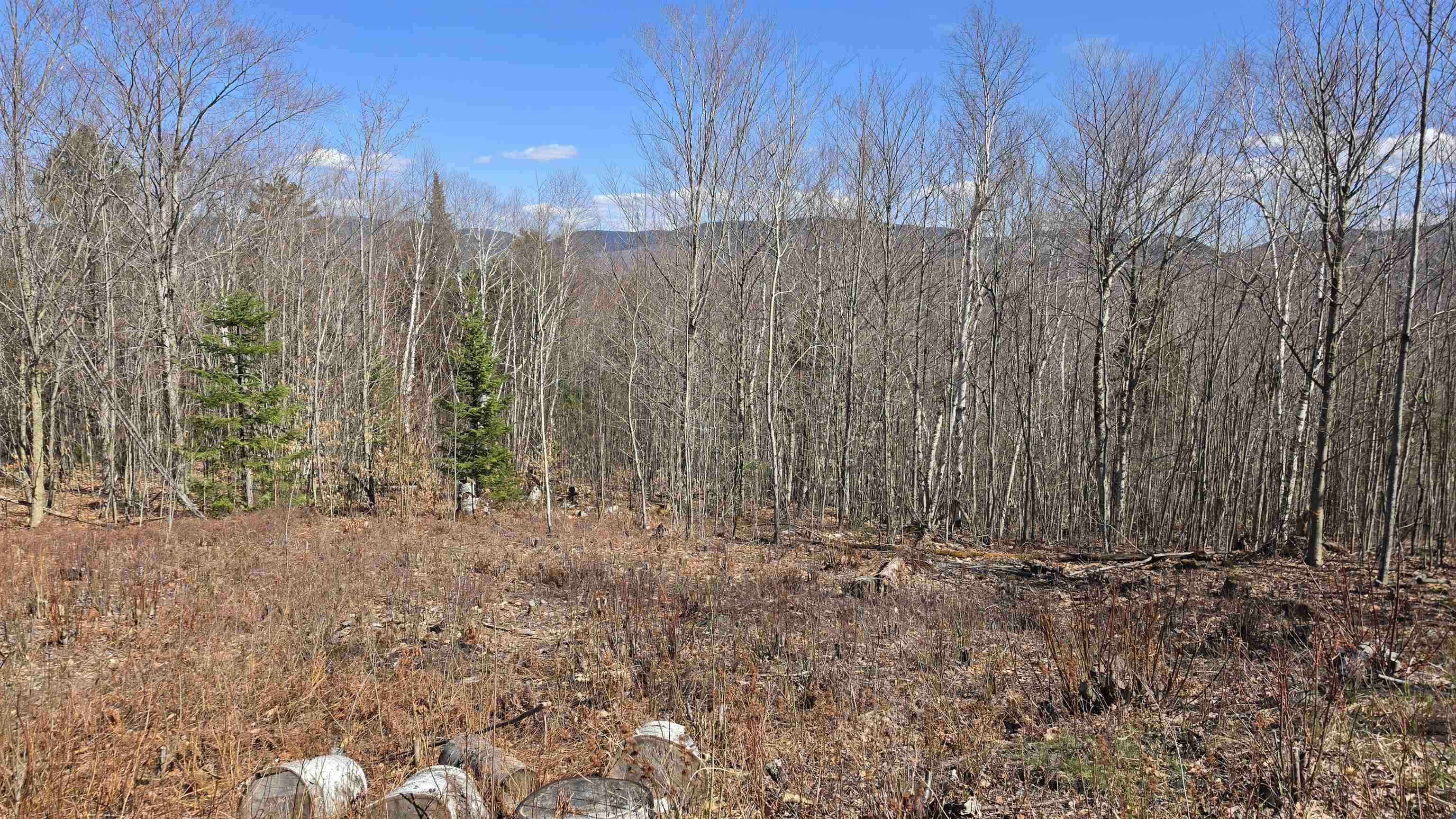 Cates Hill Rd, Berlin, NH 03570