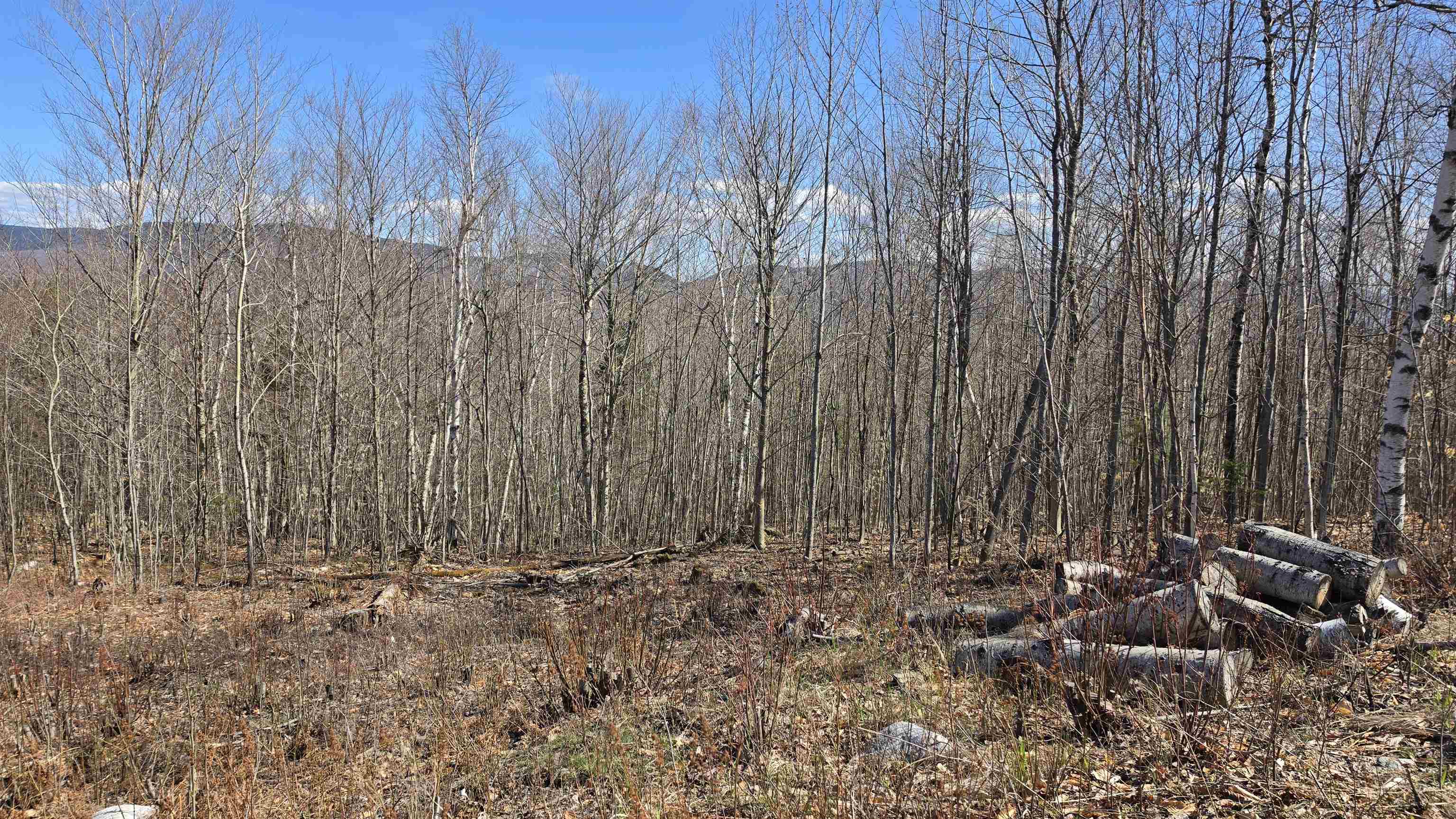 Cates Hill Rd, Berlin, NH 03570