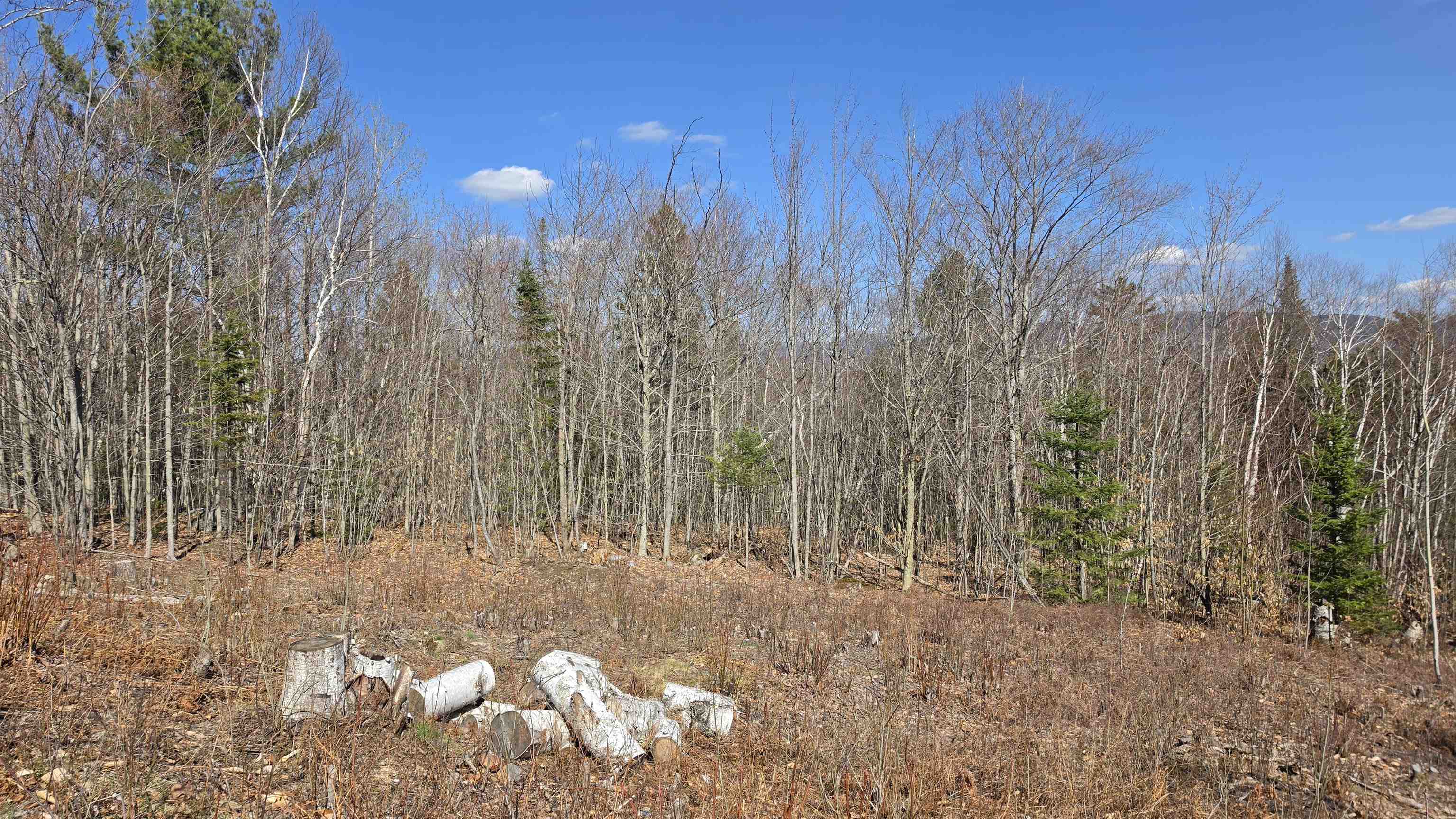 0 Cates Hill Rd, Berlin, NH 03570