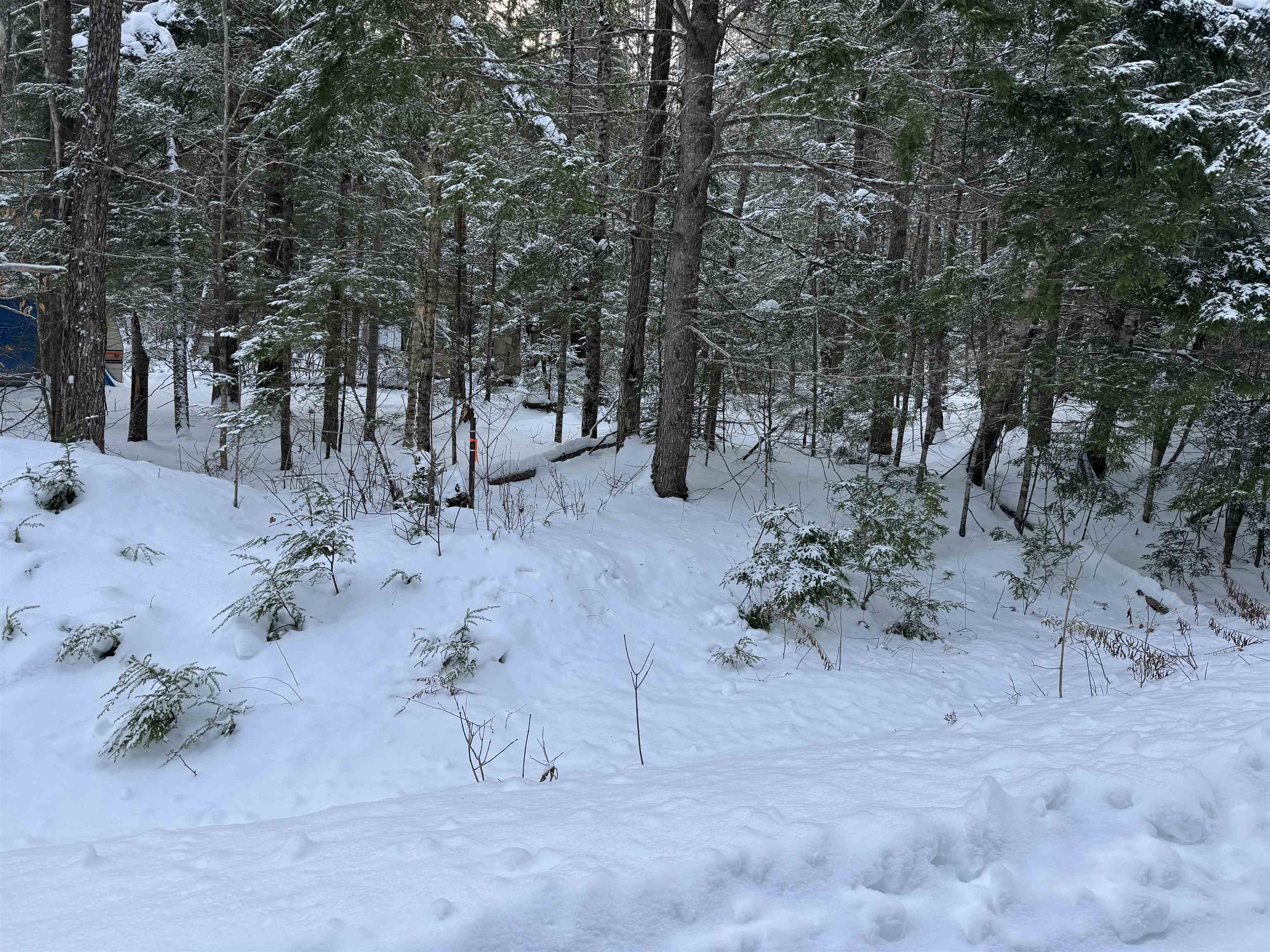 Lot 1 Welch View Dr, Thornton, NH 03285
