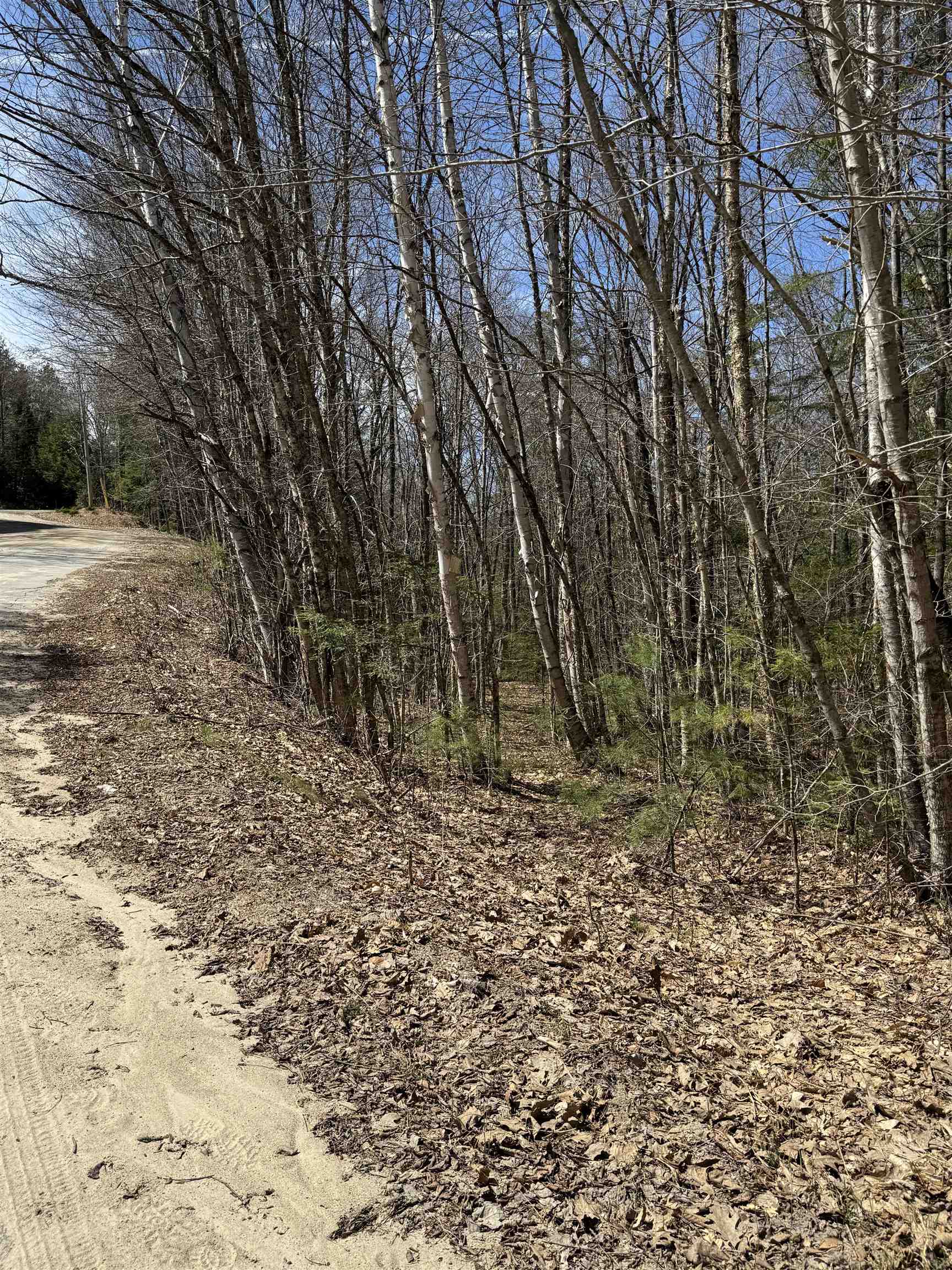 Lot 1 Welch View Dr, Thornton, NH 03285