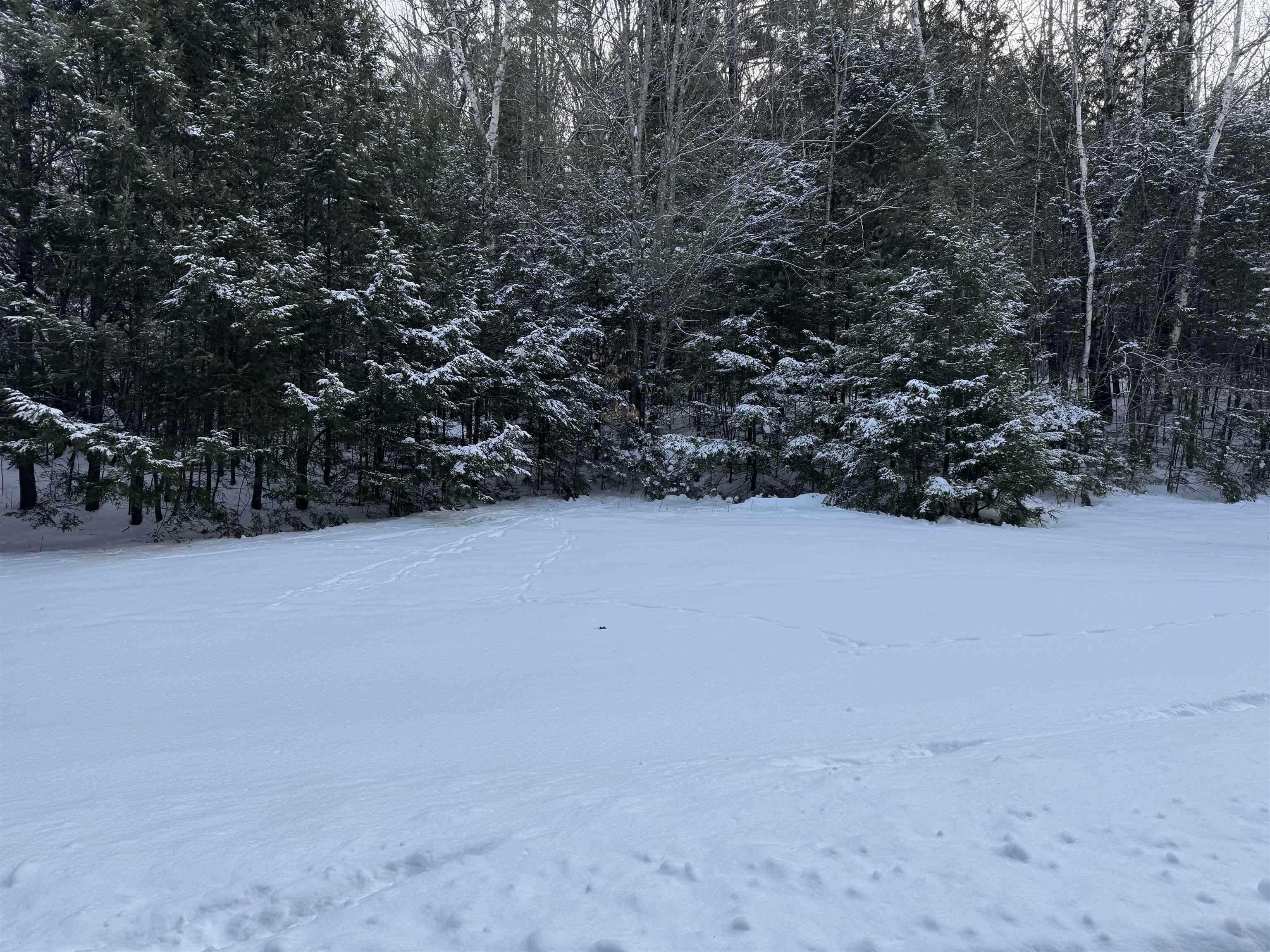 Lot 1 Welch View Dr, Thornton, NH 03285