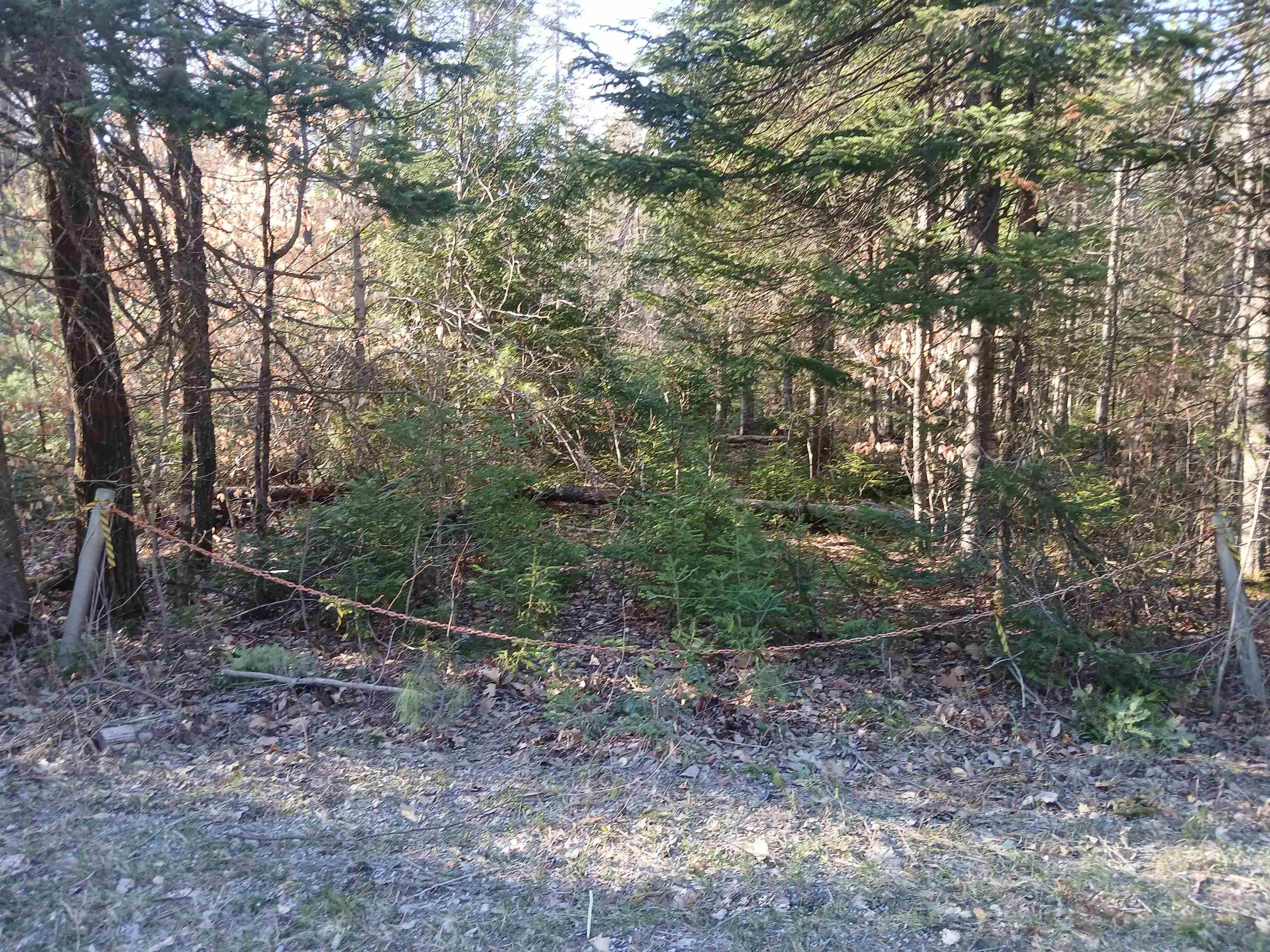 Grafton Pond Rd, Enfield, NH 03748