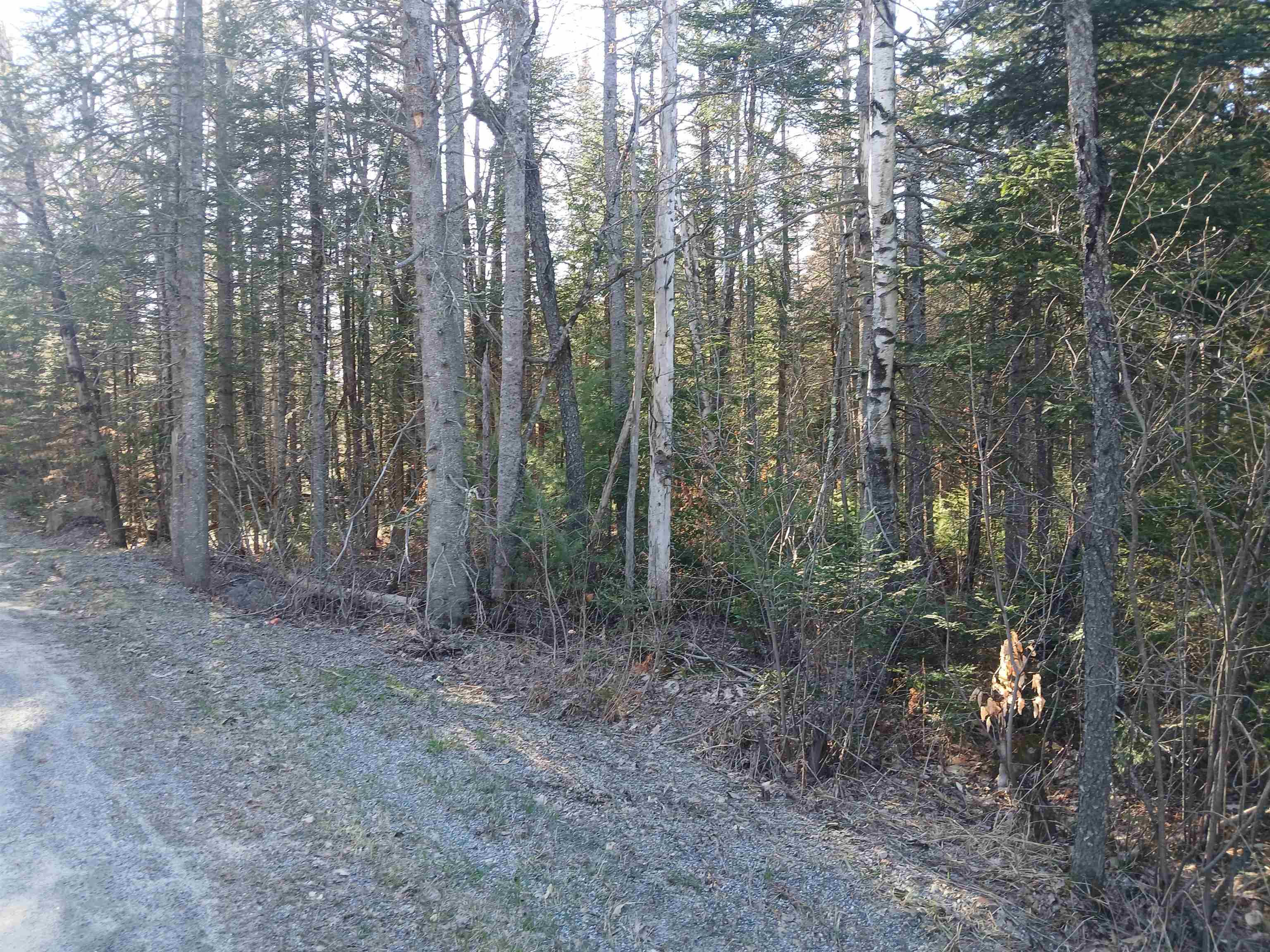 Grafton Pond Rd, Enfield, NH 03748