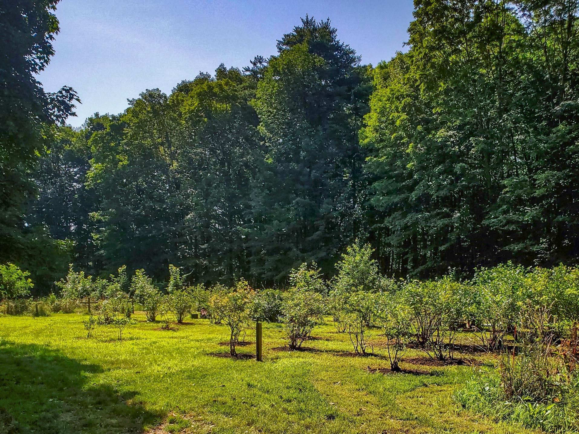 226 Amesbury Rd, Kensington, NH 03833