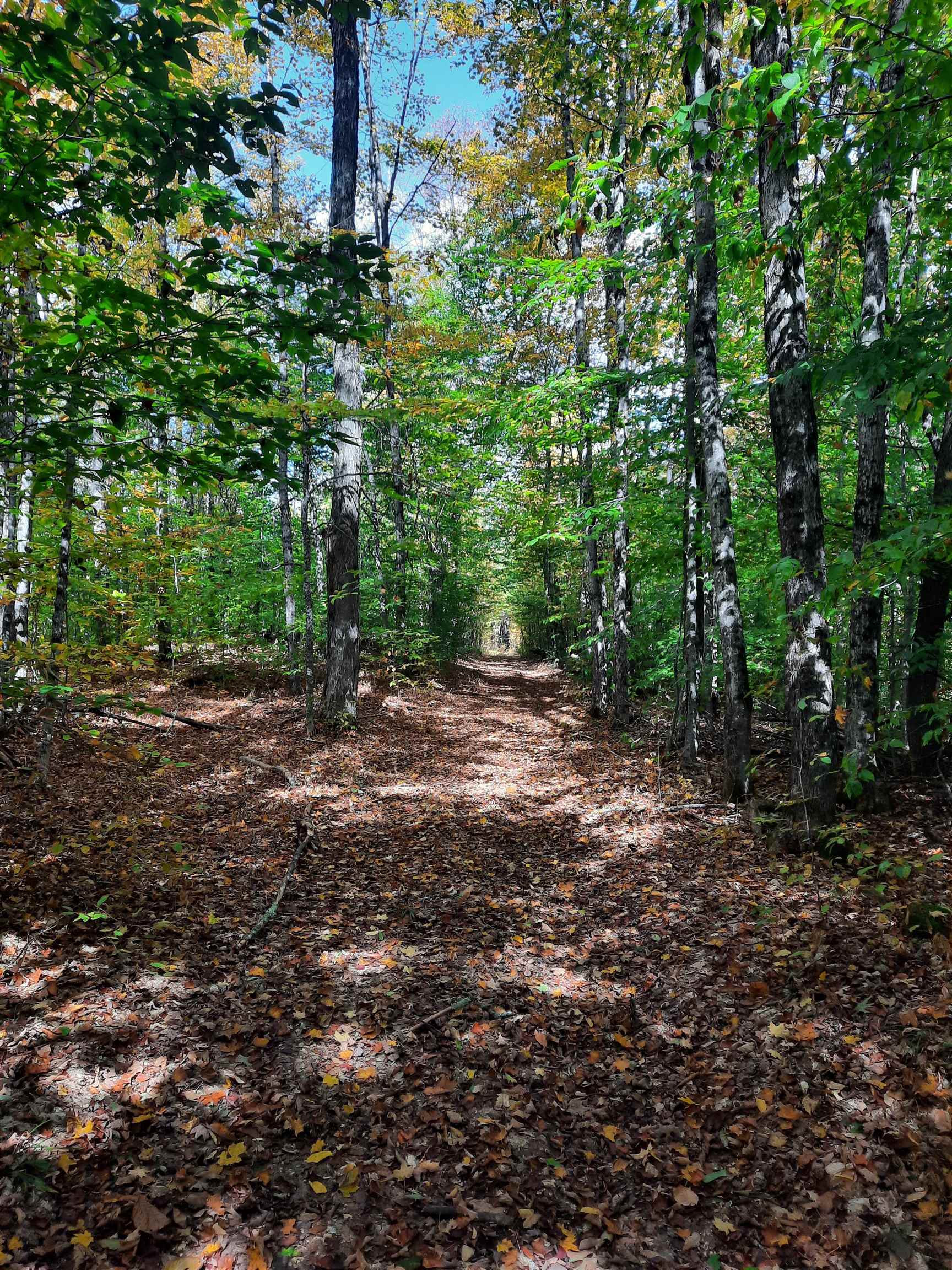 1325 Poor Farm Rd, Washington, VT 05675