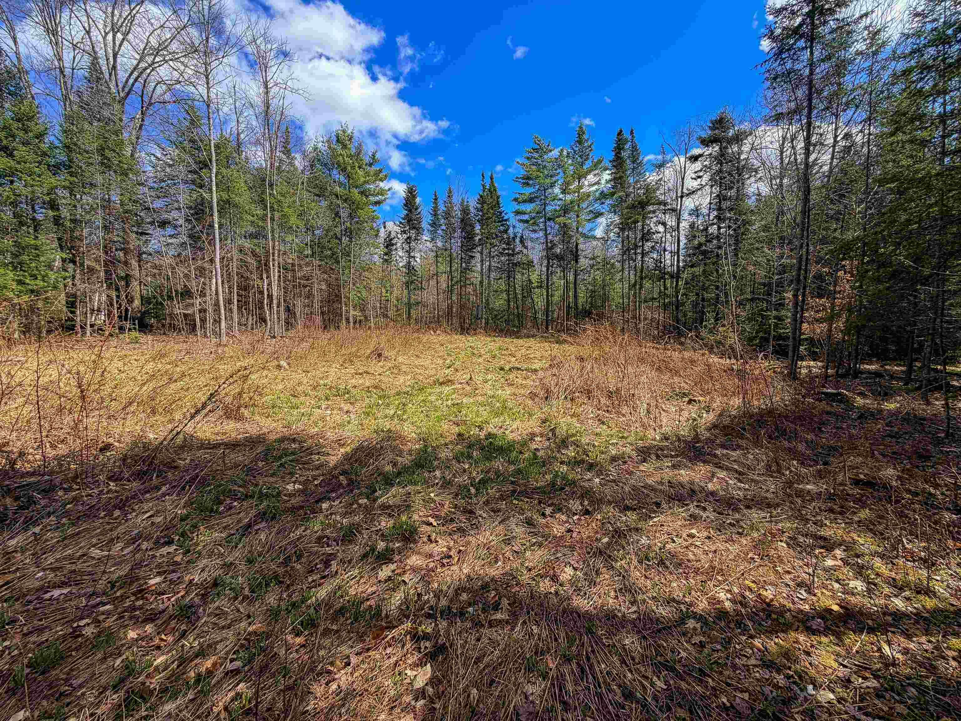 40 Bear Paw Trl, Littleton, NH 03561