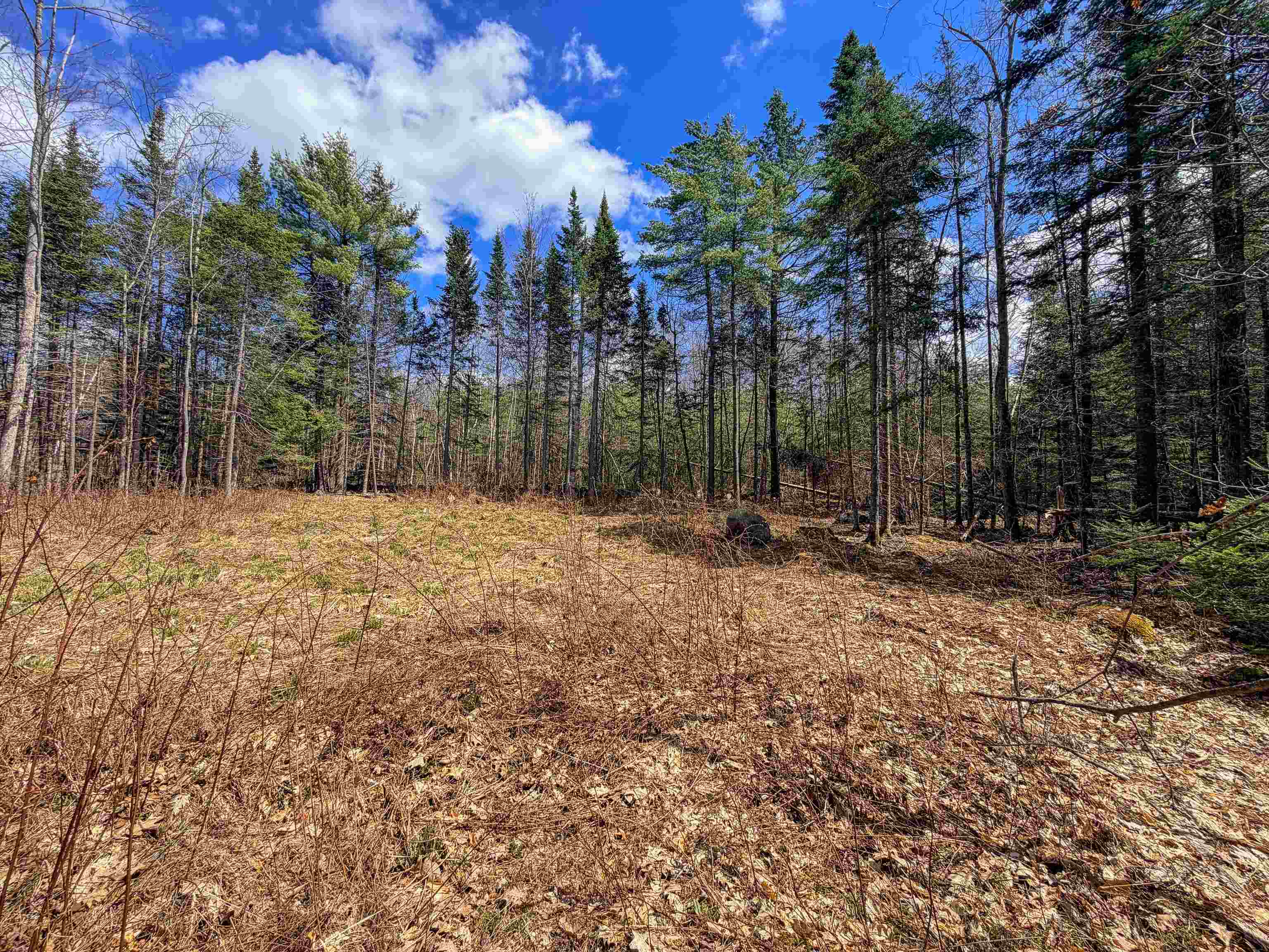 40 Bear Paw Trl, Littleton, NH 03561