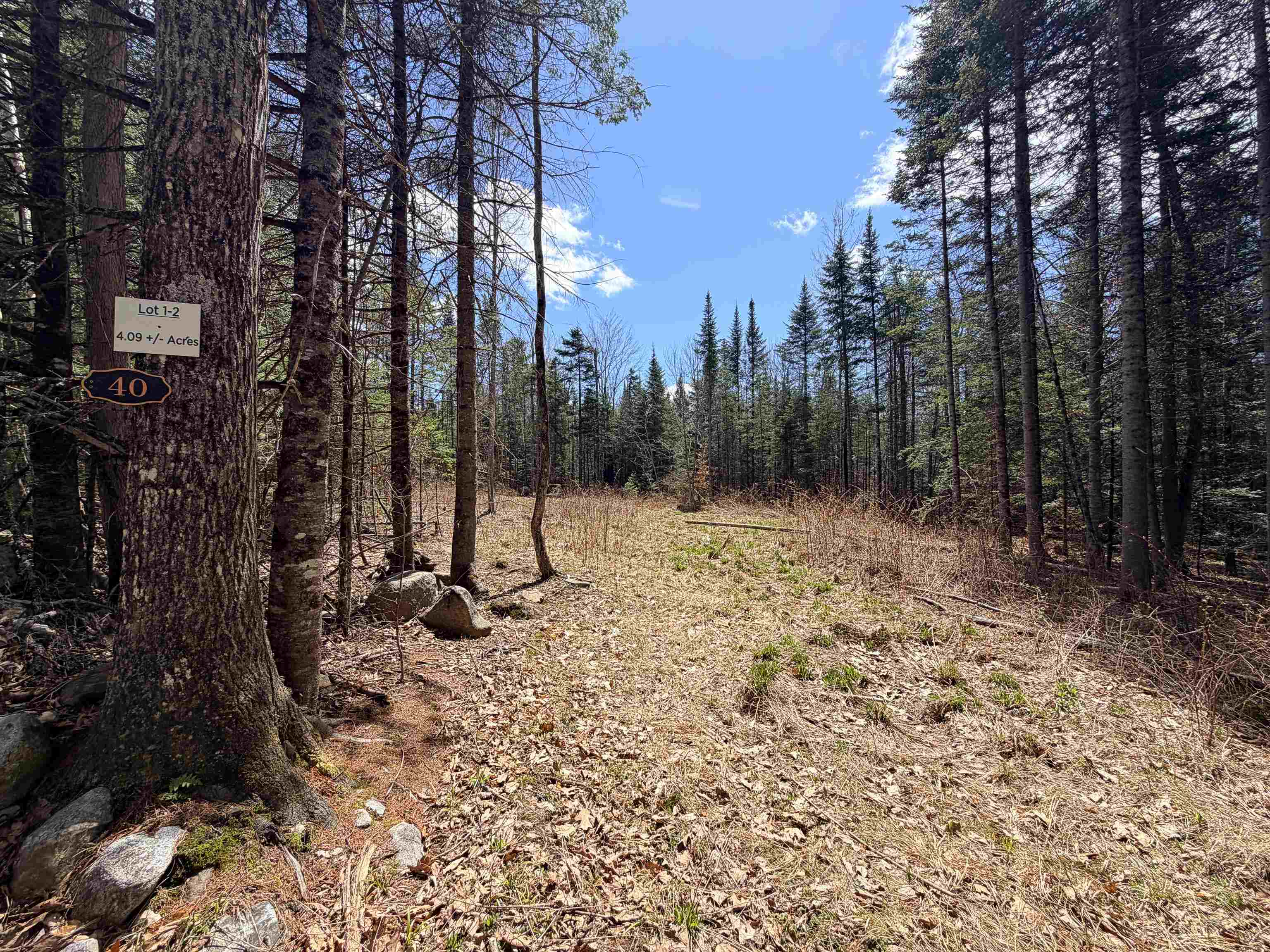 40 Bear Paw Trl, Littleton, NH 03561