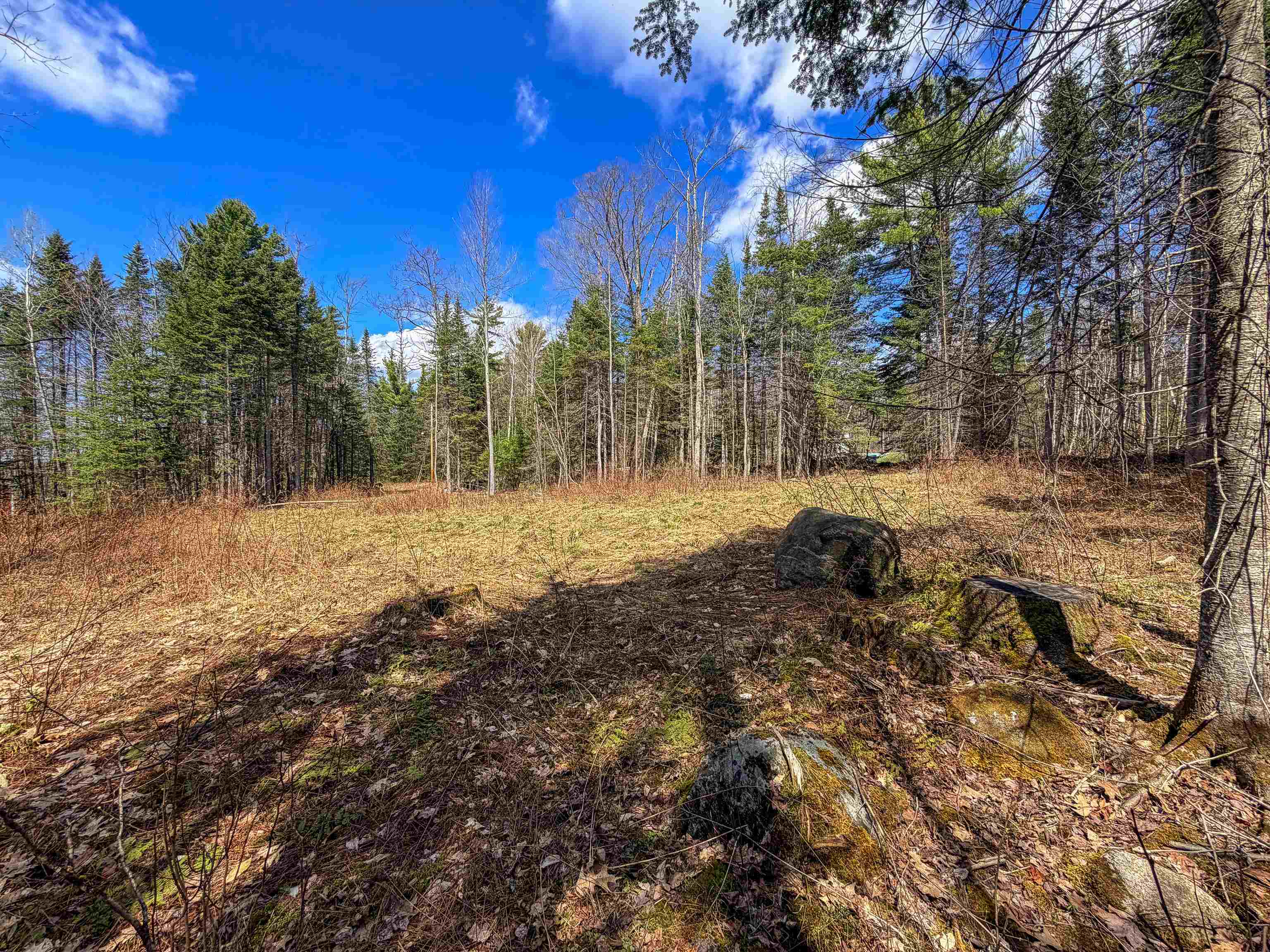 40 Bear Paw Trl, Littleton, NH 03561