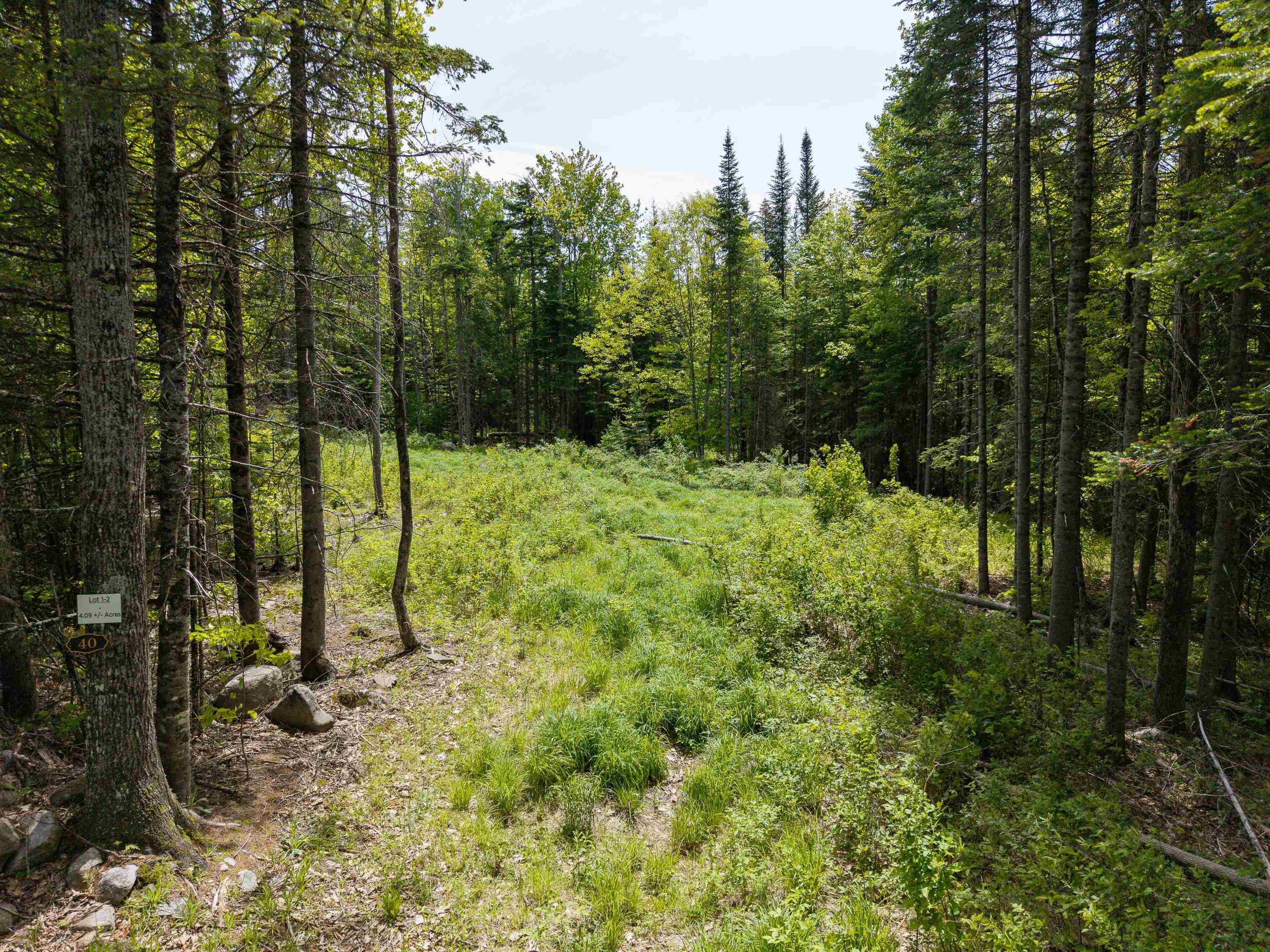 40 Bear Paw Trail, Littleton, NH photo 3