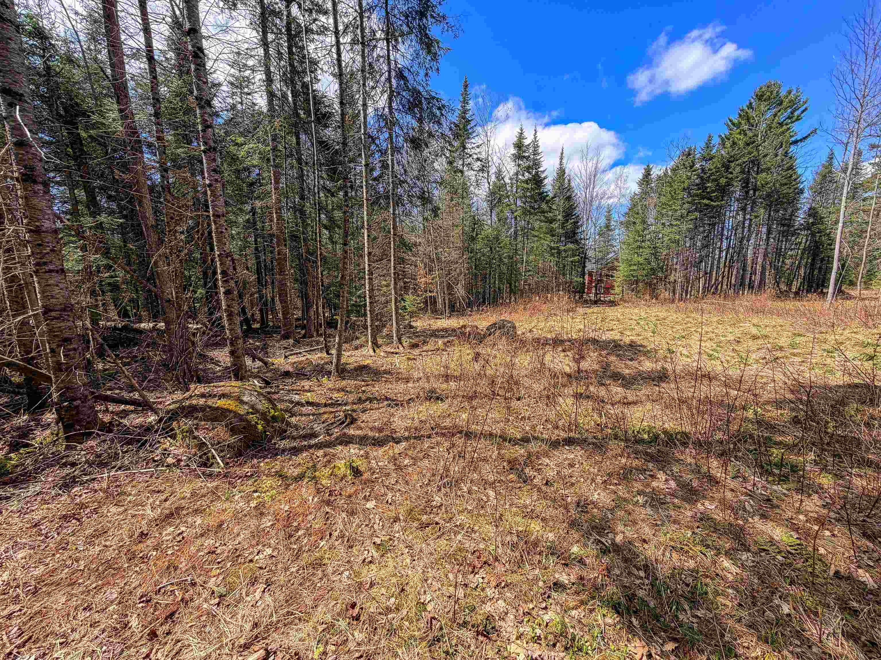 40 Bear Paw Trl, Littleton, NH 03561