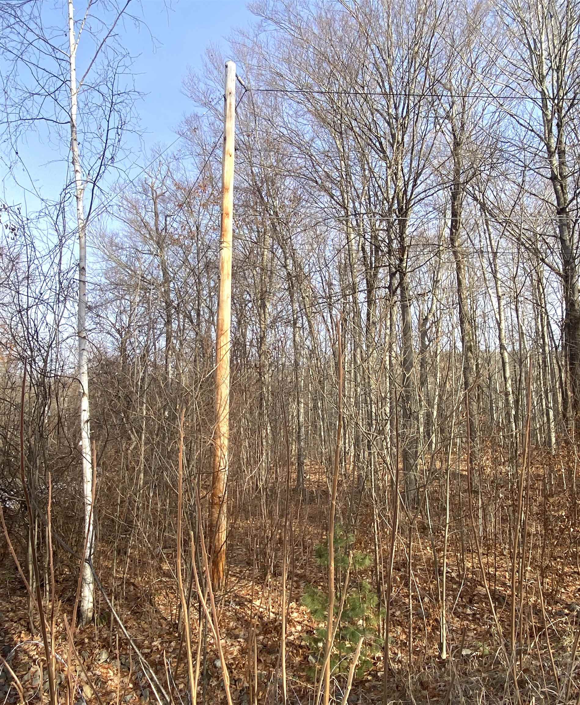 Electric Power Is Roadside