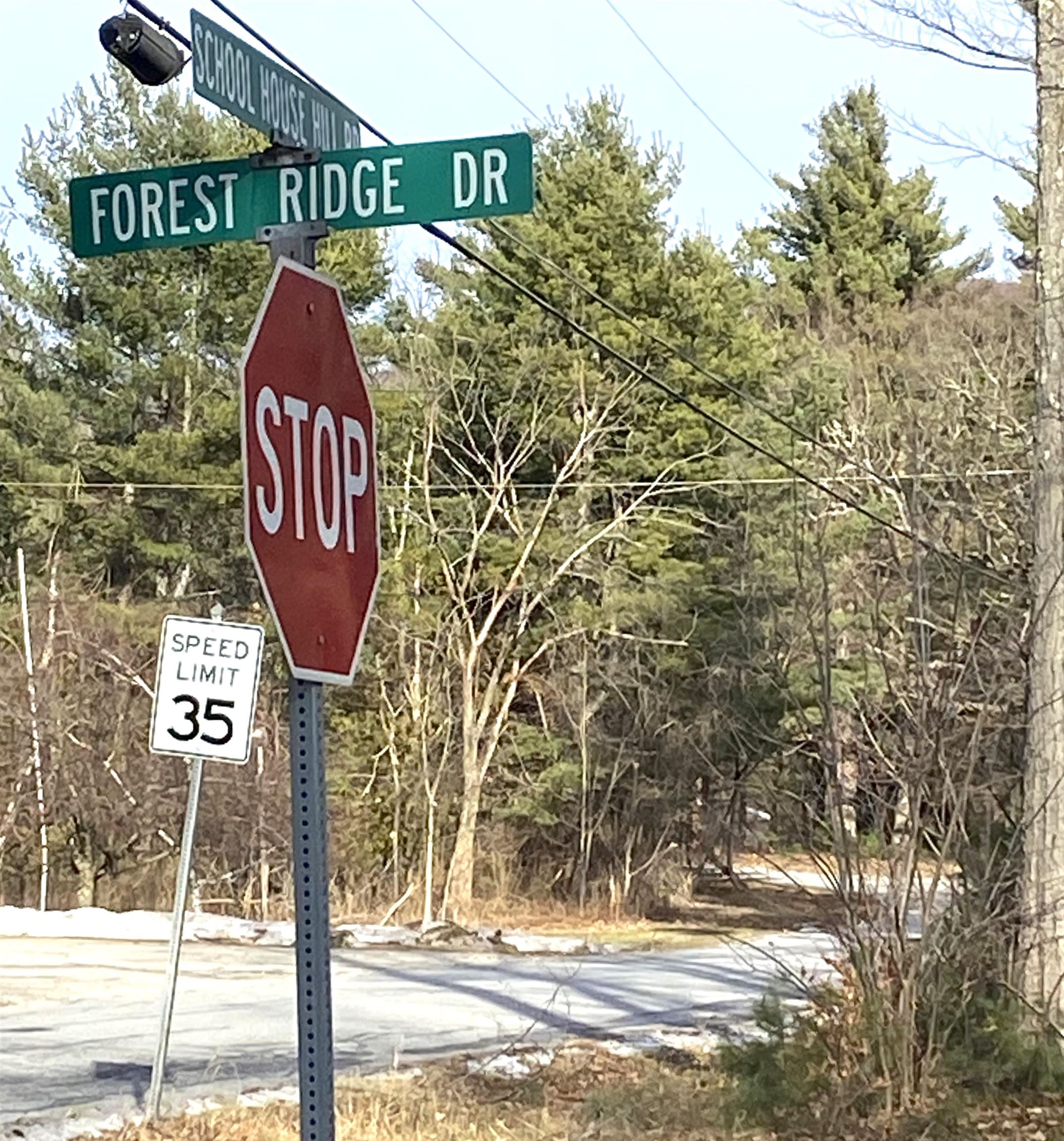 Entry To Forest Ridge Neighborhood