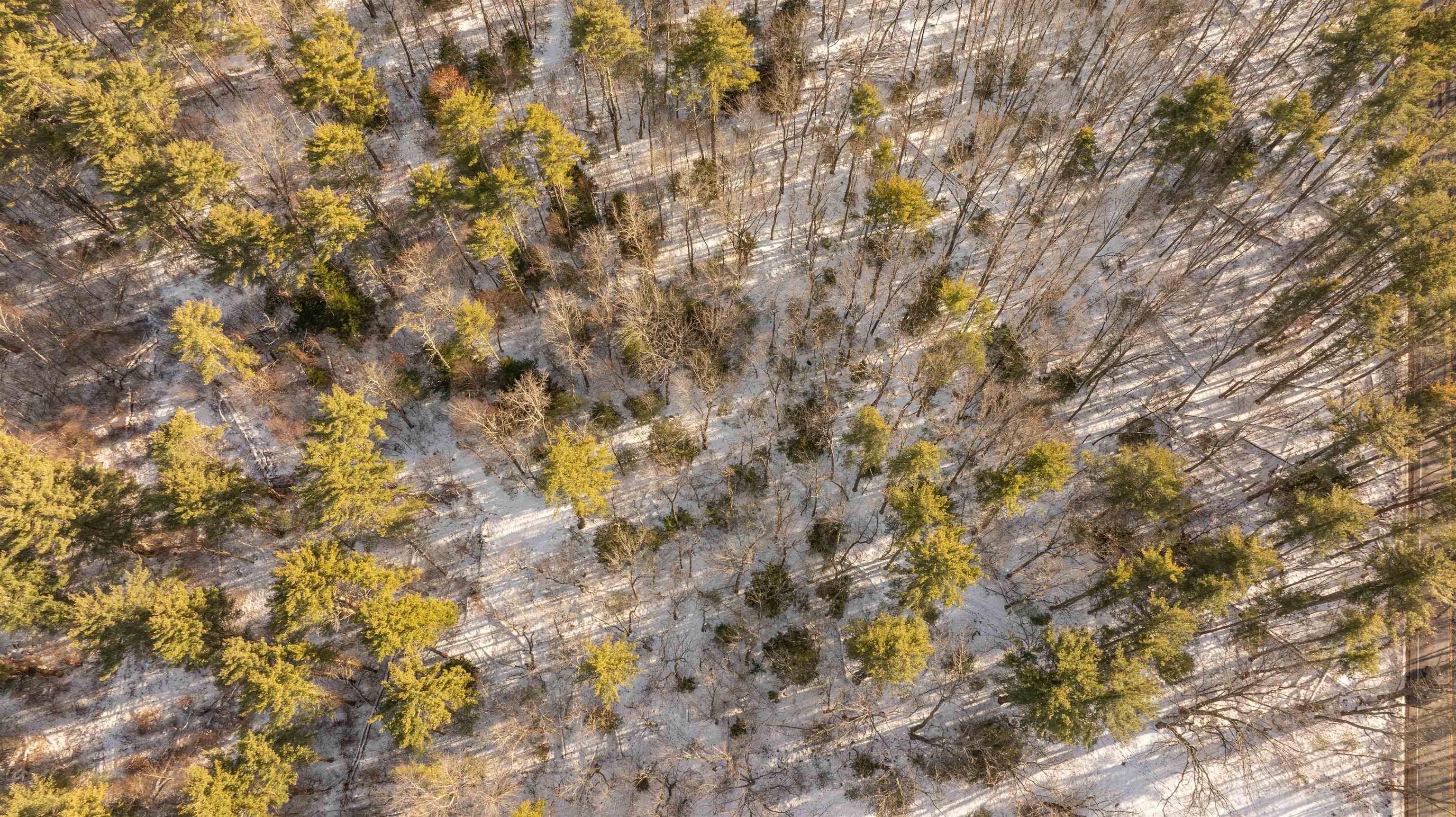 Lot 56-3 Chester Rd, Auburn, NH 03032