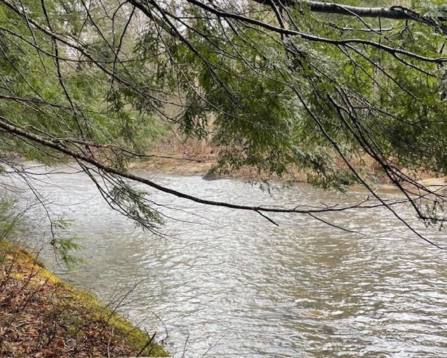 191 Pingree Park Ln, Londonderry, VT 05148