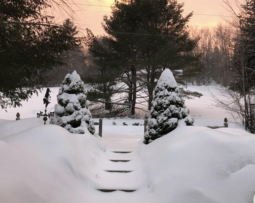 191 Pingree Park Ln, Londonderry, VT 05148