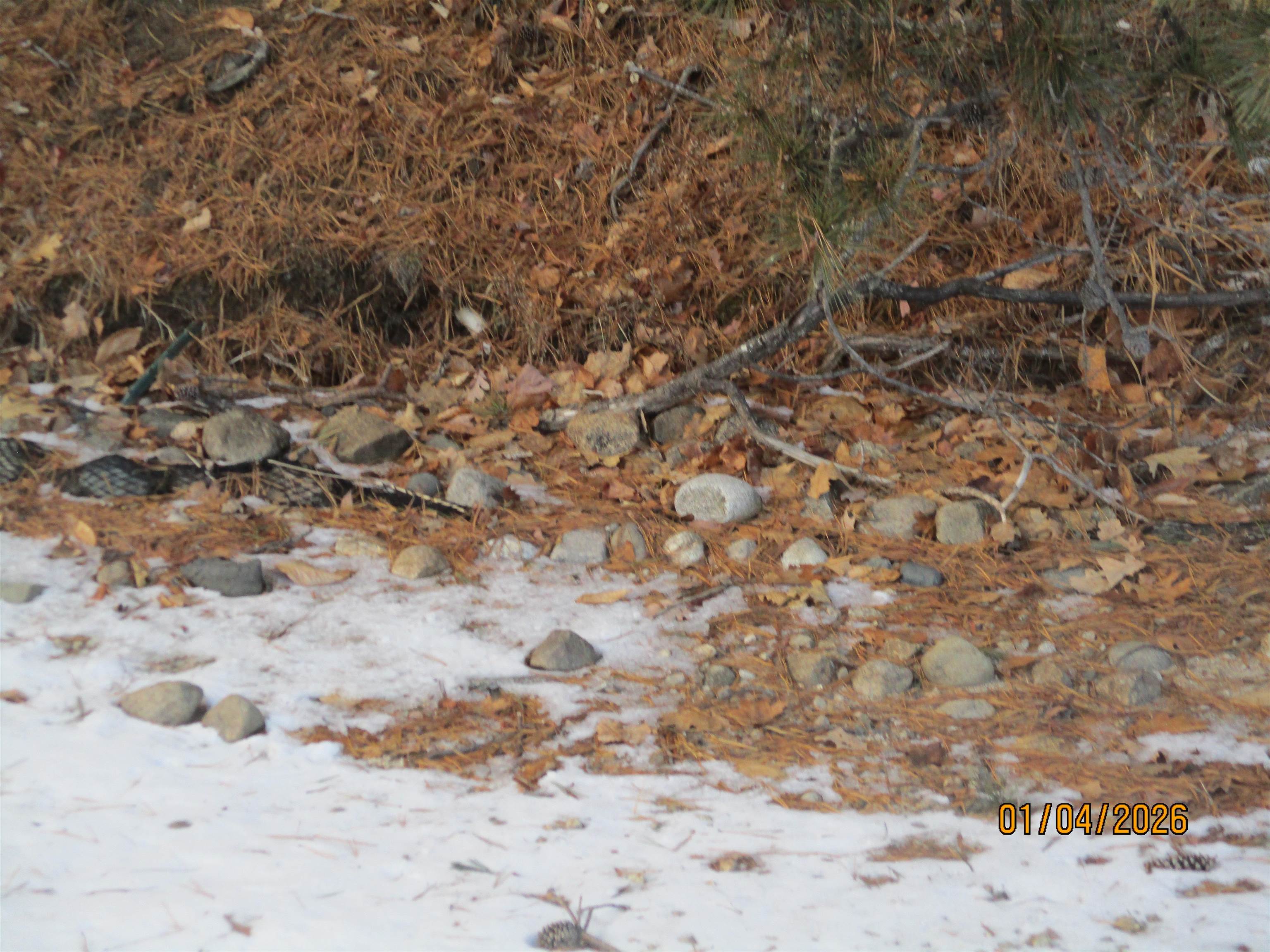 164 Leavitt Rd, Ossipee, NH 03814