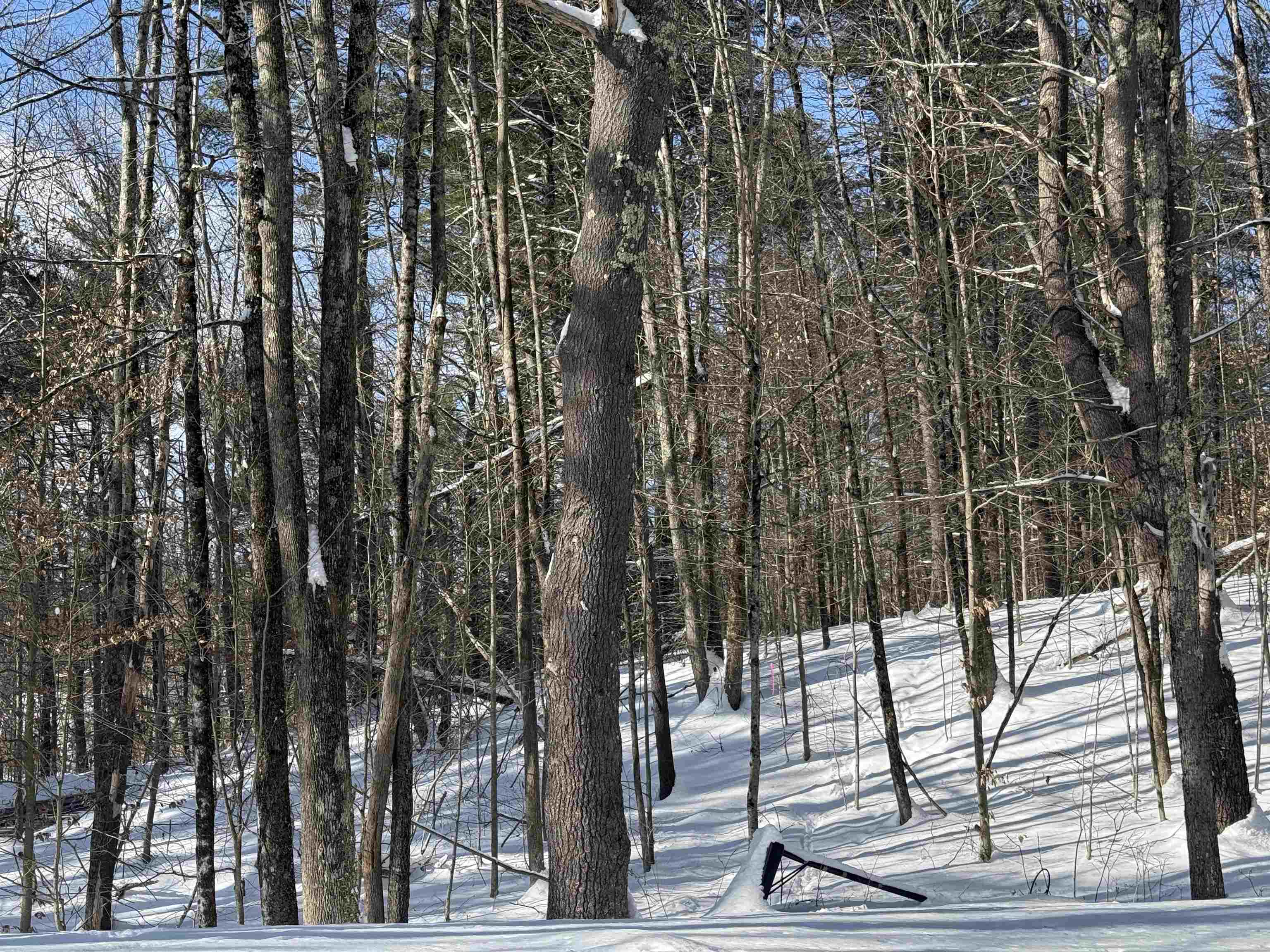 14-2 Jewett Rd, Hopkinton, NH 03229