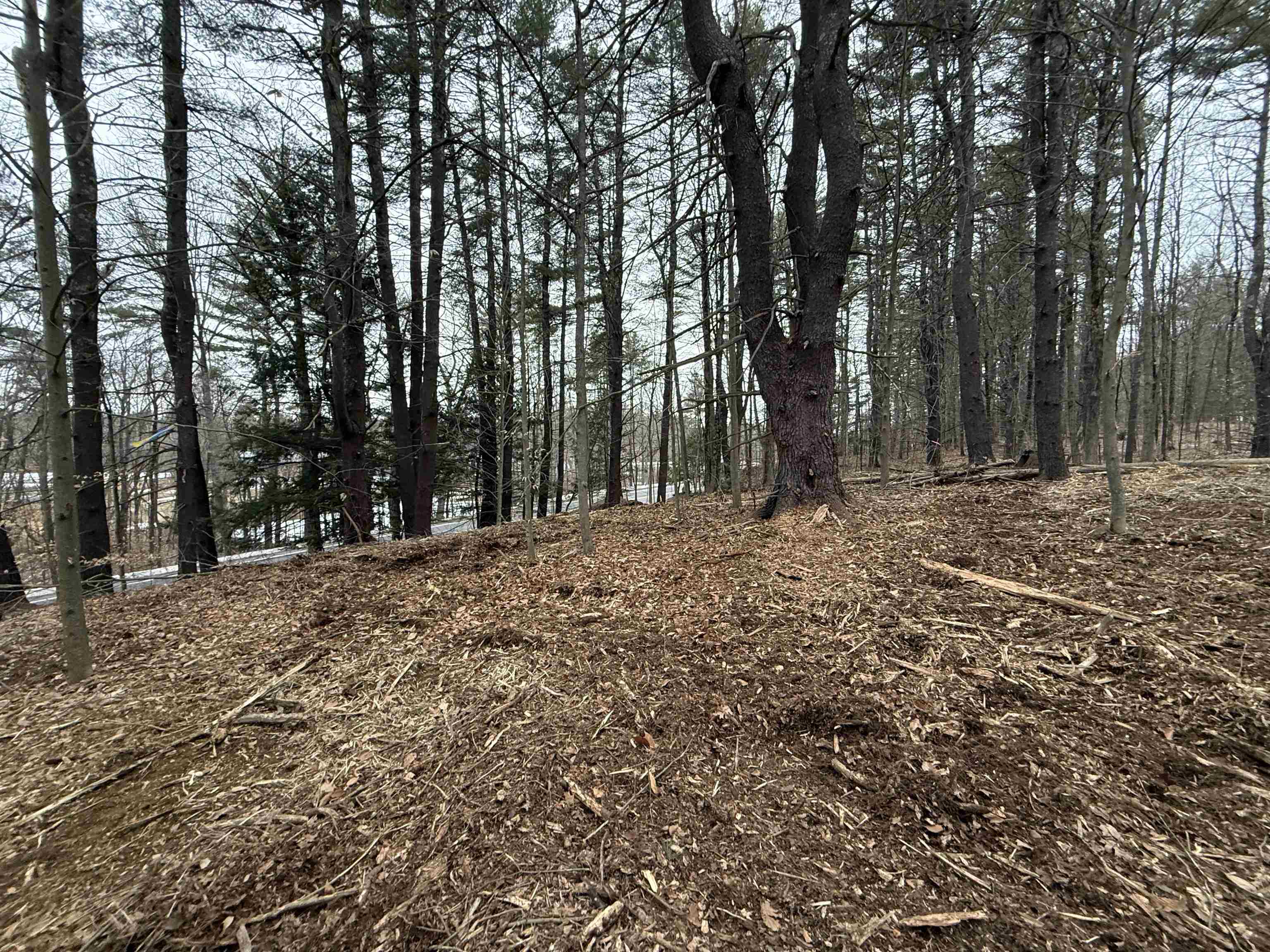 14-2 Jewett Rd, Hopkinton, NH 03229