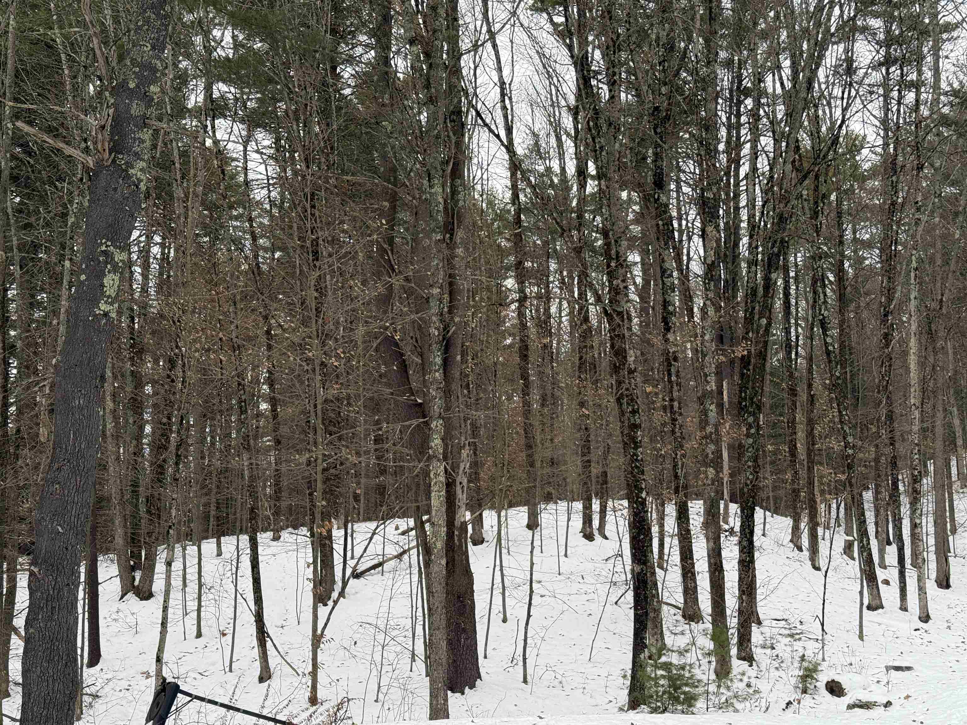 Homes for sale in Hopkinton, NH | 14-2 Jewett Rd, Hopkinton, NH 03229 | MLS# 5072721