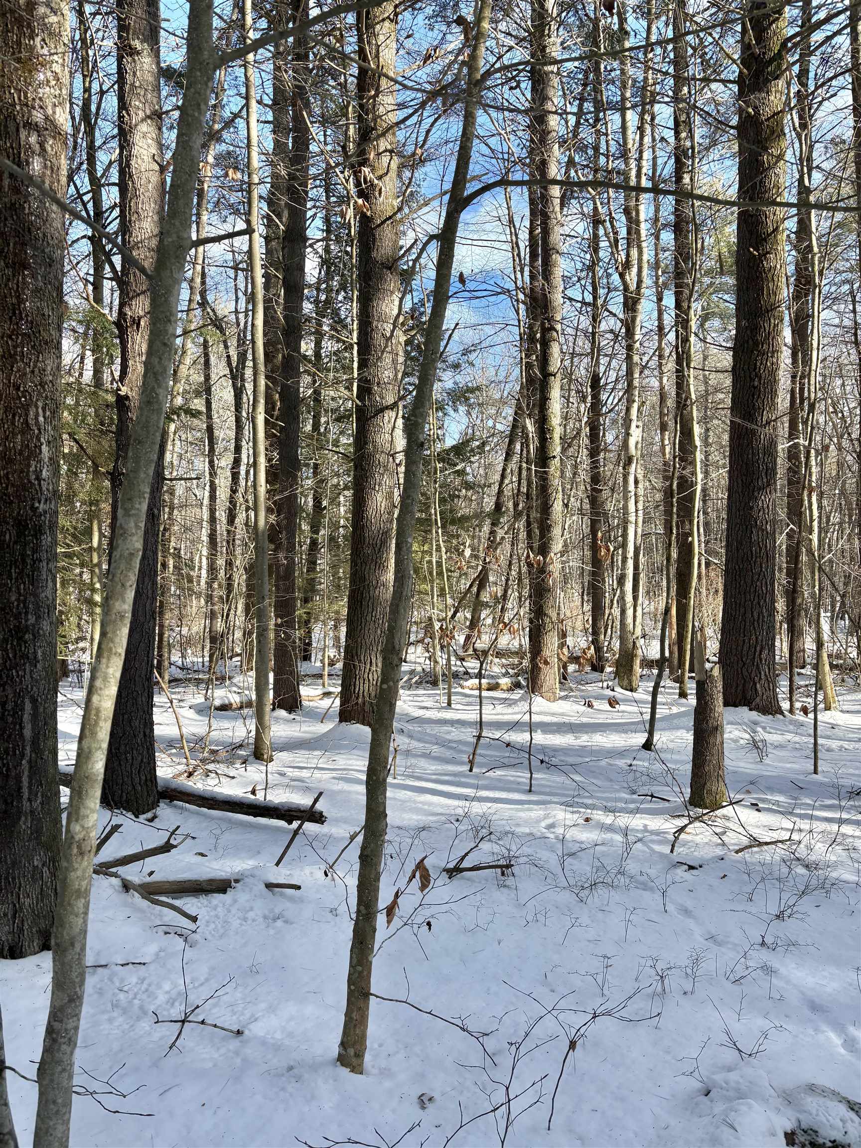 Lot 80-1 Currier Rd, Candia, NH 03034