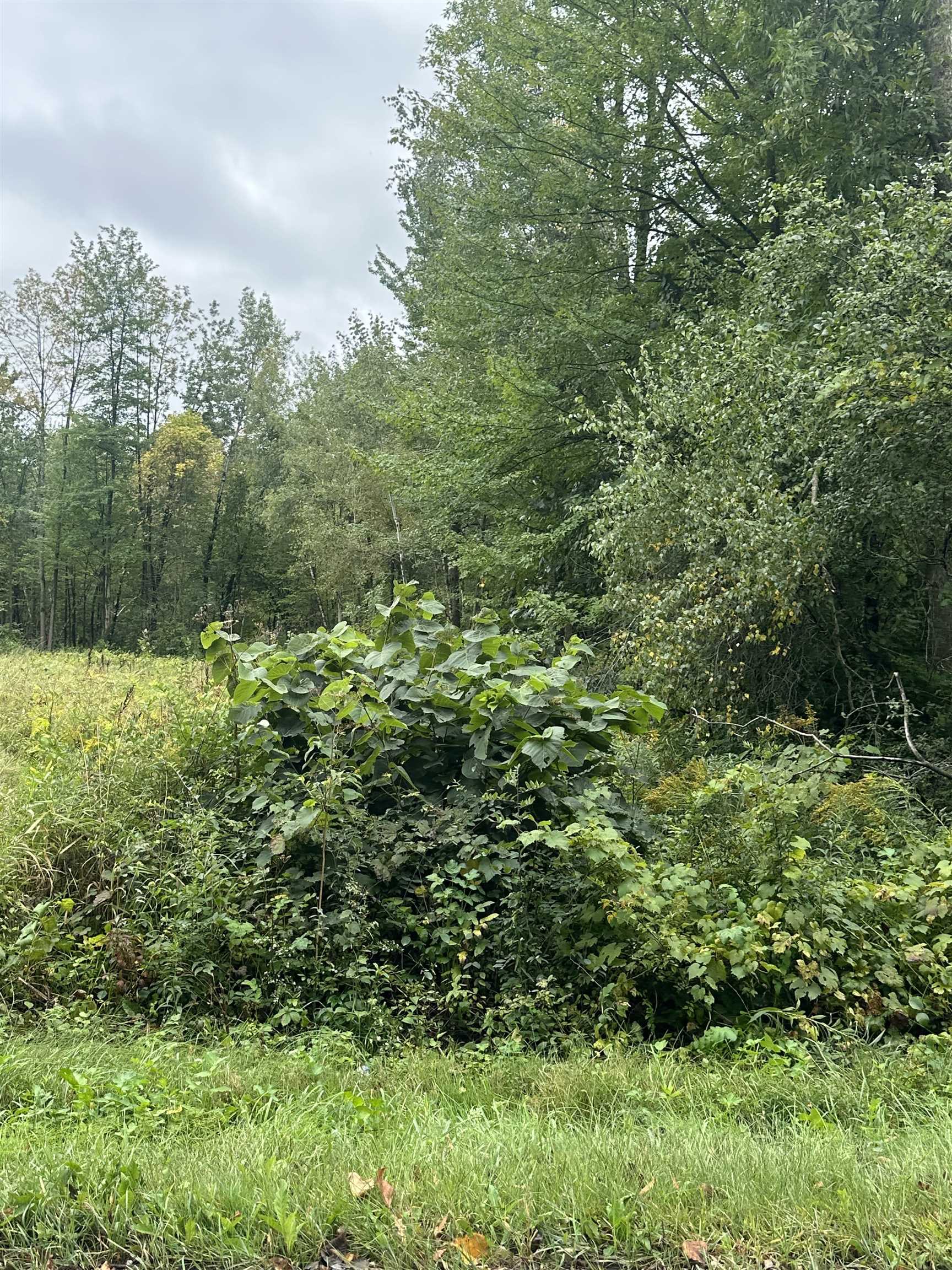 Photo 3 of Land for sale at 0 Columbus Smith Rd, Salisbury, VT 05769 | MLS# 5072771 | Listing updated on 2026-09-14