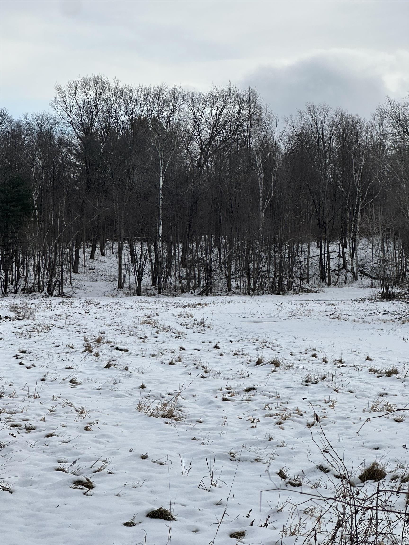 Photo 4 of Land for sale at 0 Columbus Smith Rd, Salisbury, VT 05769 | MLS# 5072771 | Listing updated on 2026-09-14