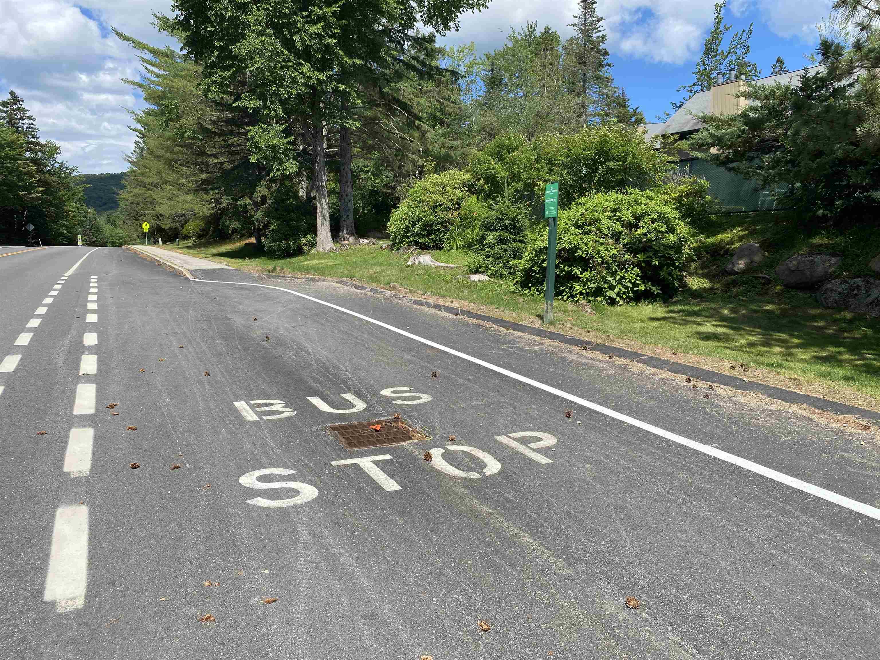 38 Windsor Hill Way, Waterville Valley, NH 03215