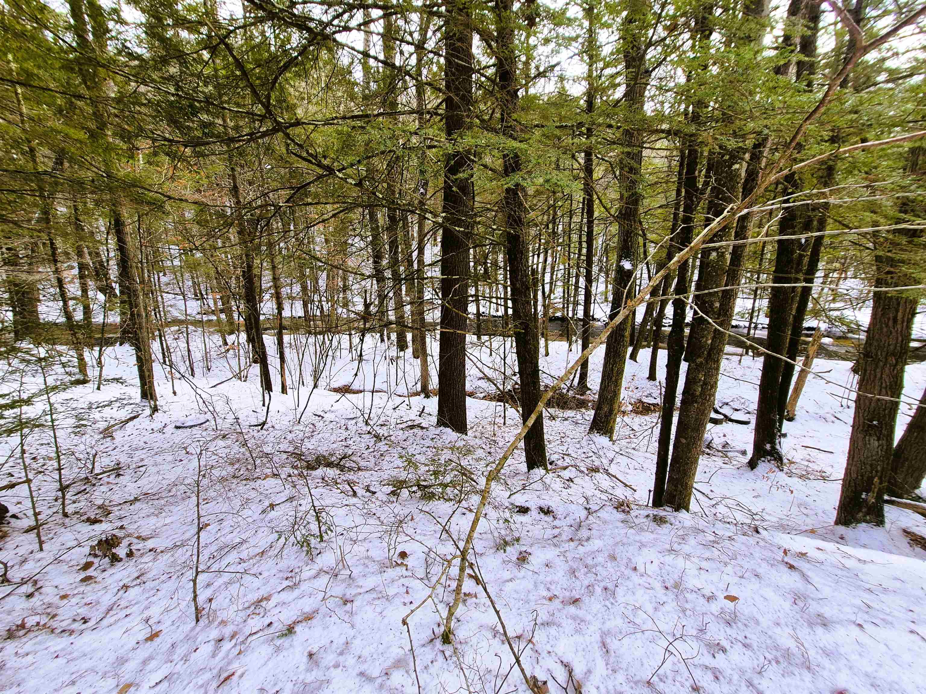 525 Richmond Rd, Winchester, NH 03470