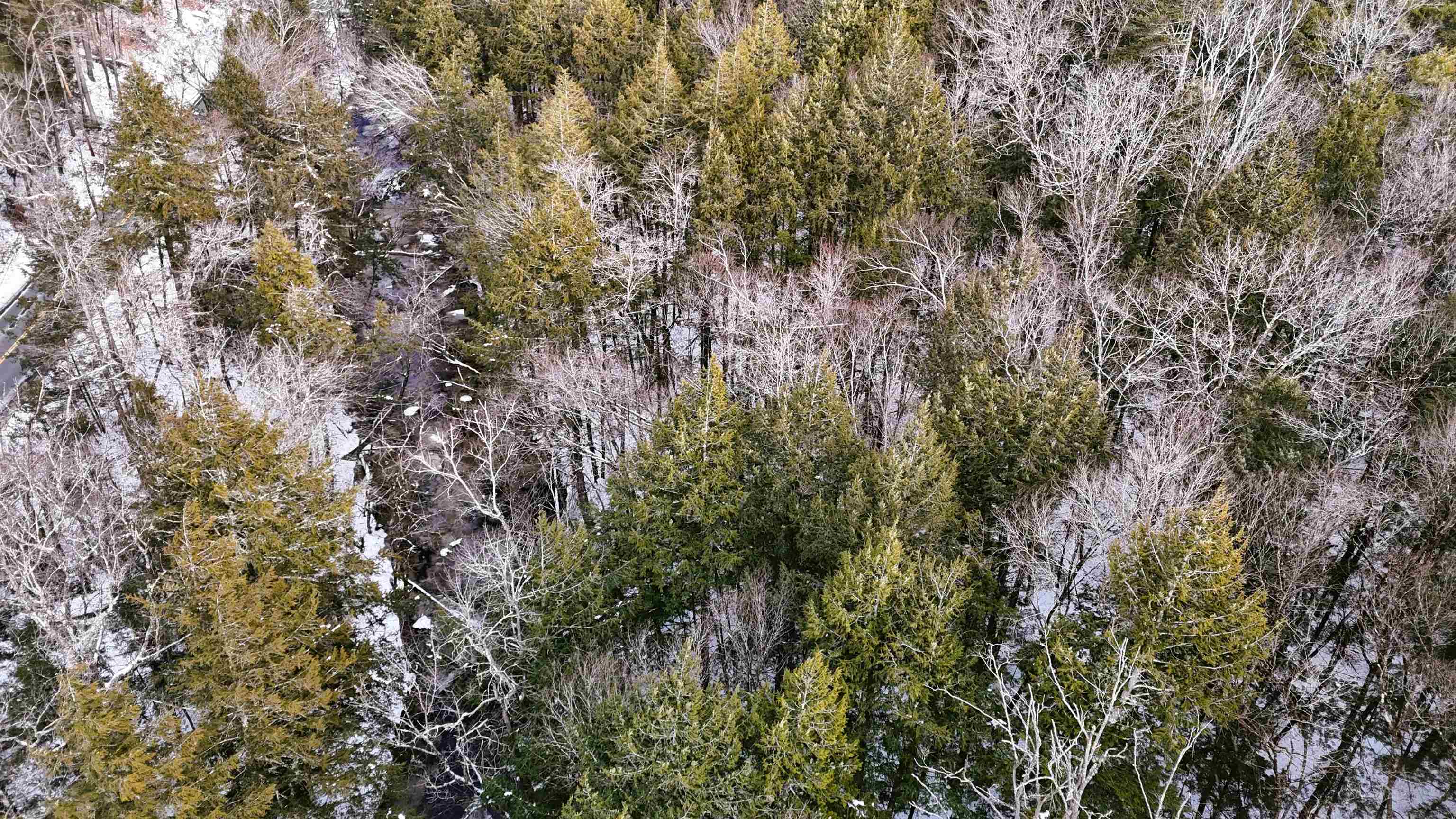 525 Richmond Rd, Winchester, NH 03470