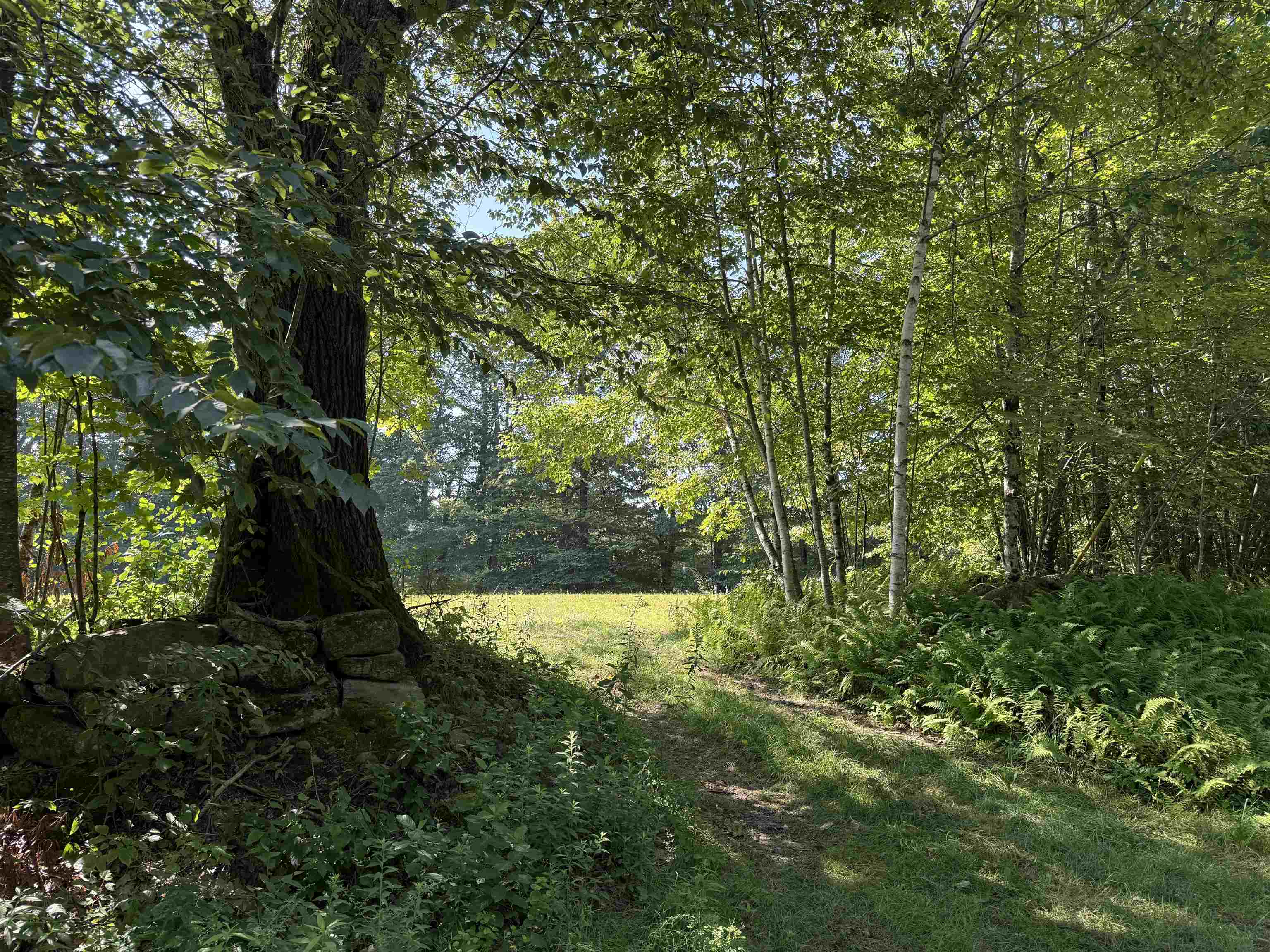 10-2 Ingalls Rd, Jaffrey, NH 03452