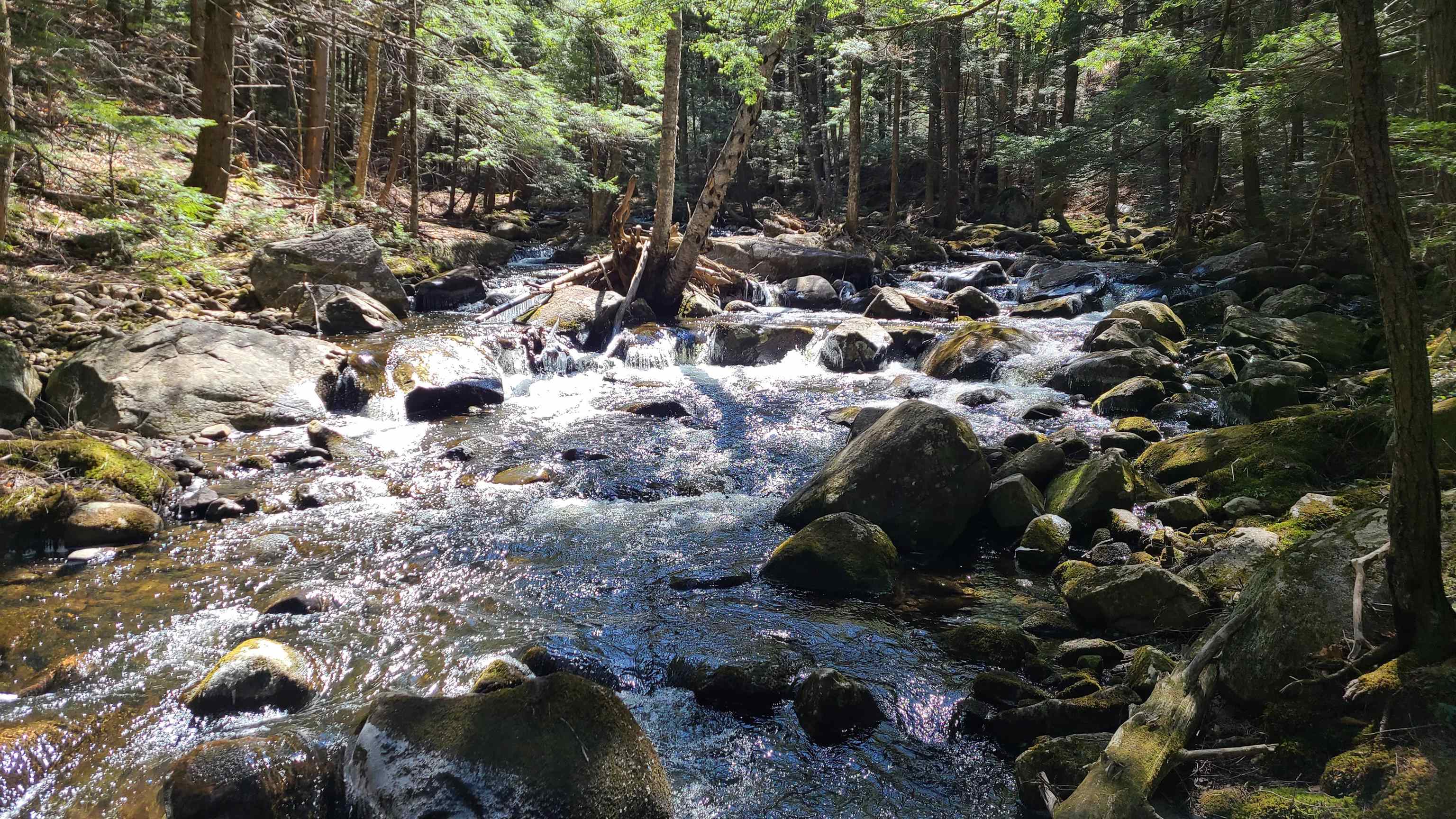 11 Clay Brook Dr, Plymouth, NH 03264