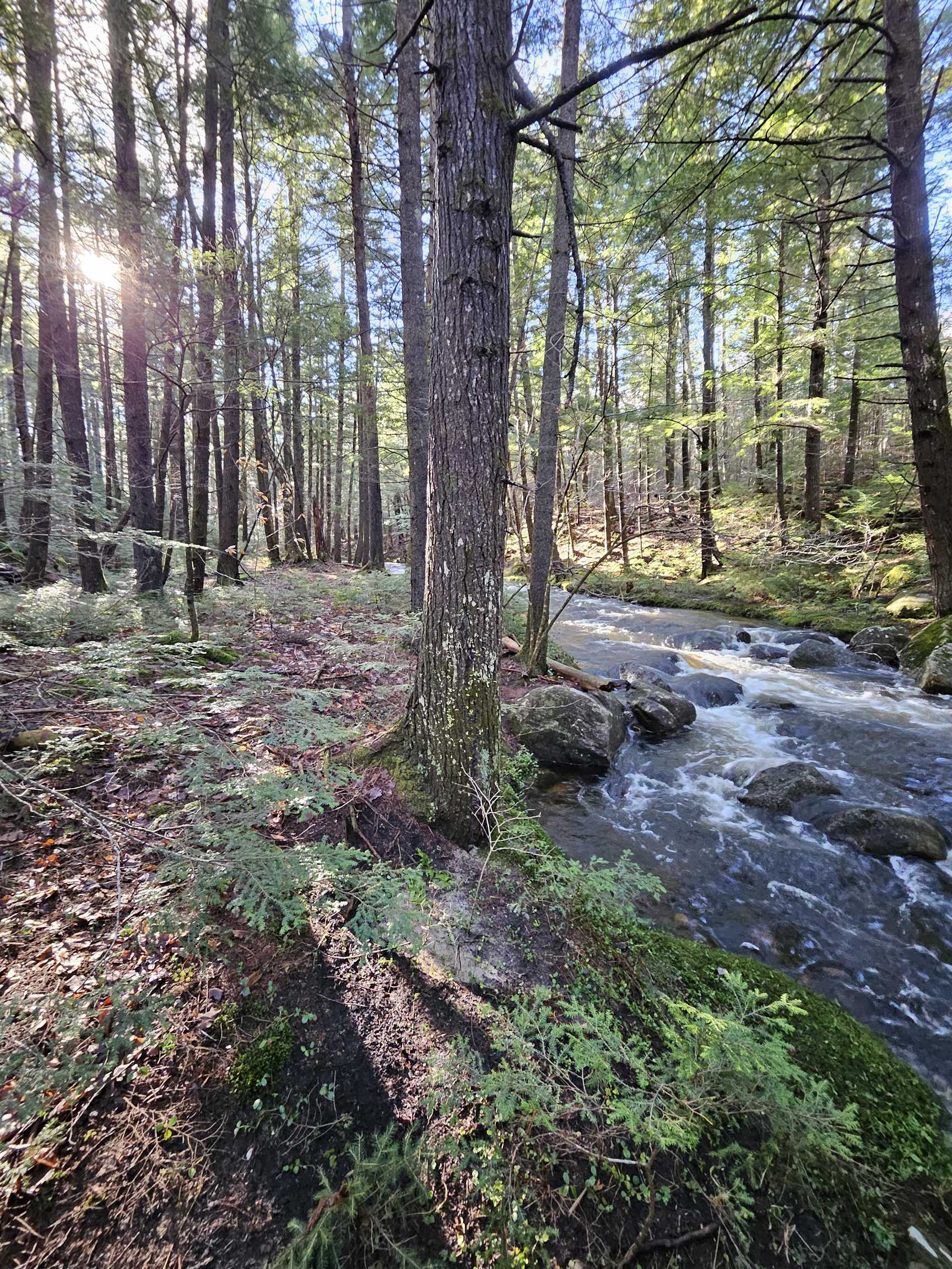 11 Clay Brook Dr, Plymouth, NH 03264