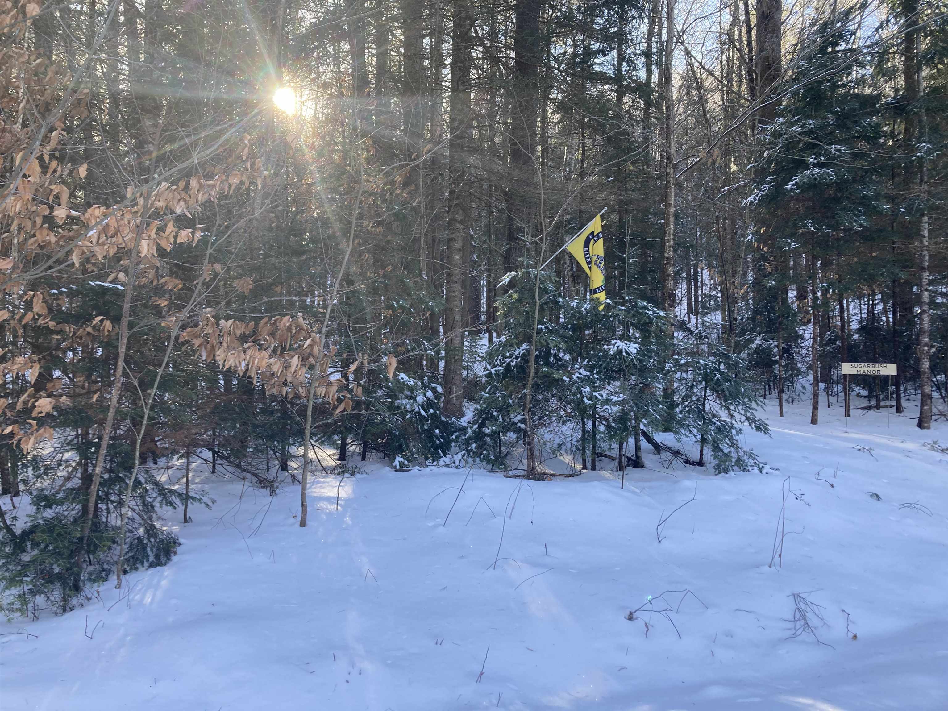 0 Sugarbush Ln, Grafton, NH 03240