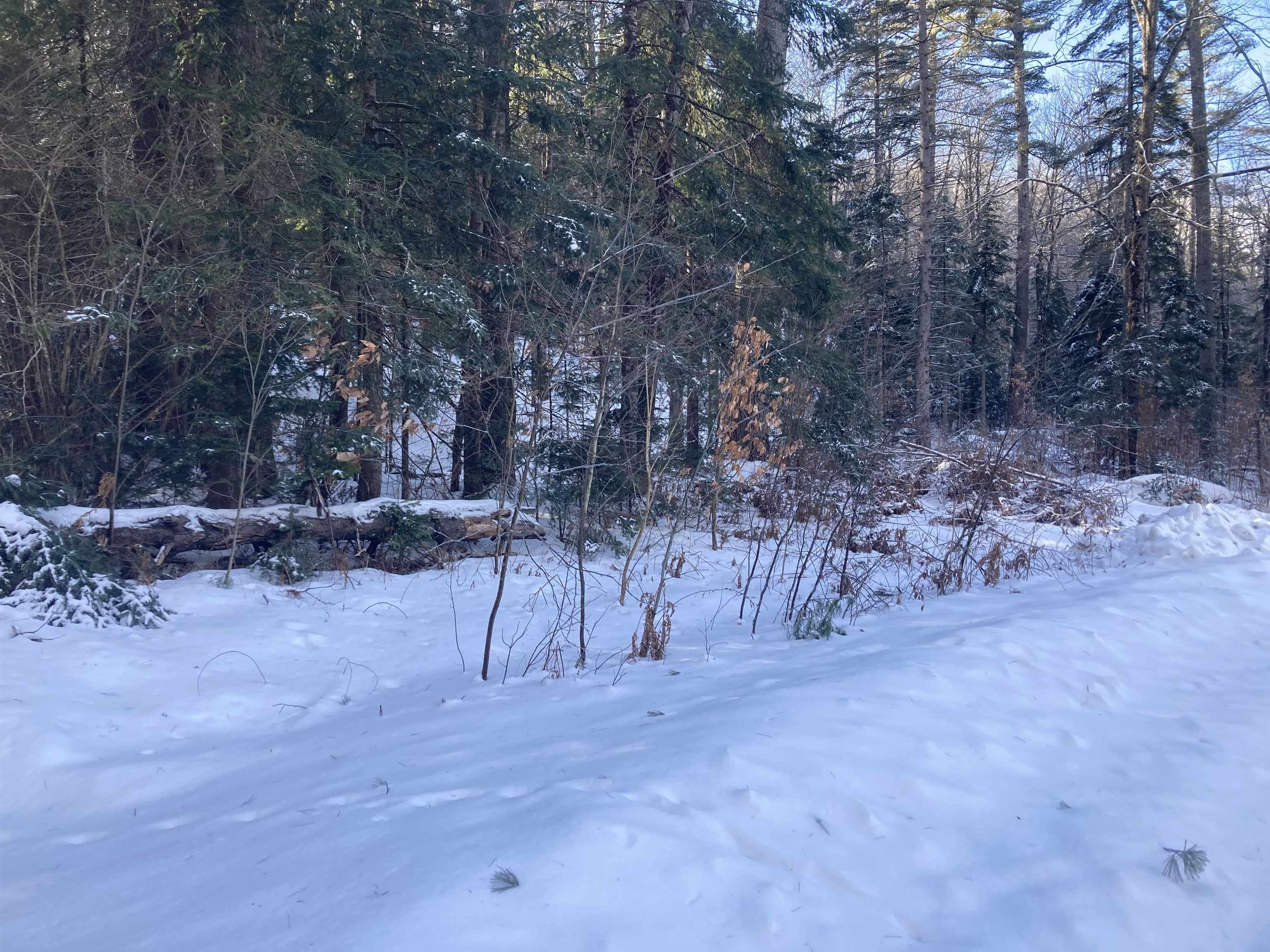 0 Sugarbush Ln, Grafton, NH 03240