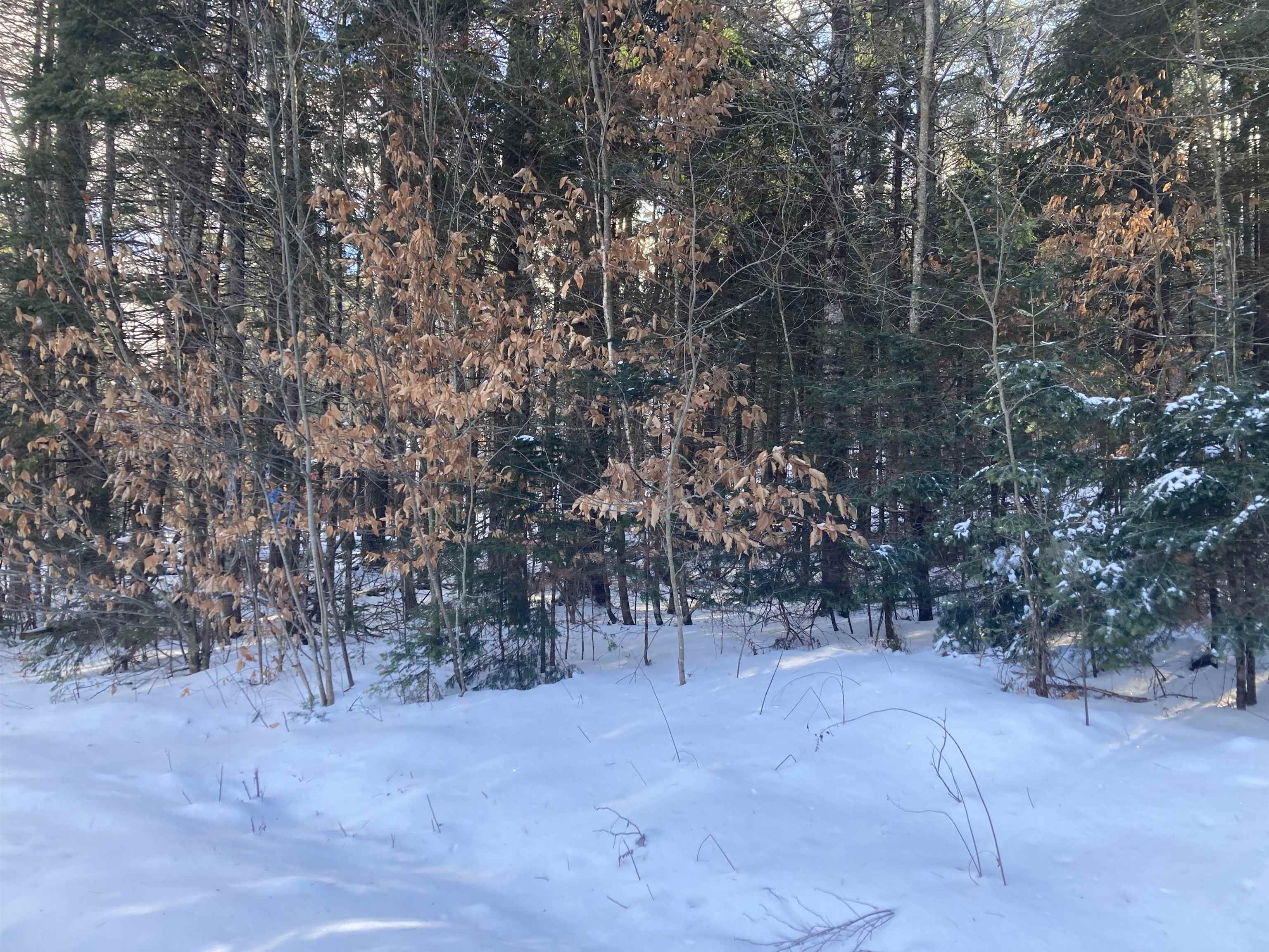 0 Sugarbush Ln, Grafton, NH 03240