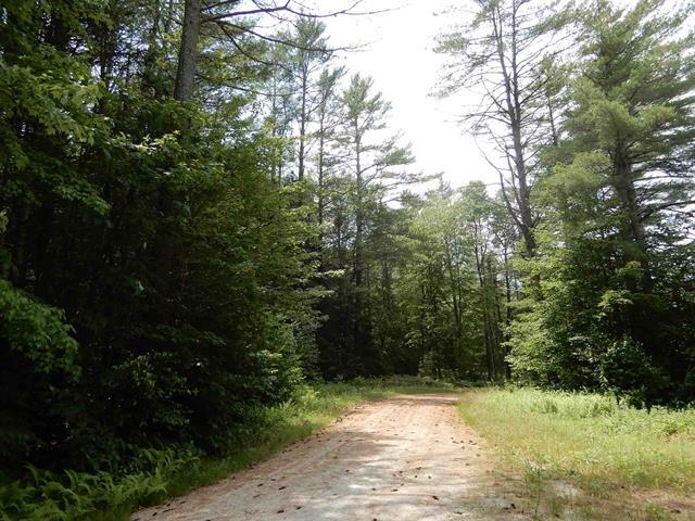 0 Sugarbush Ln, Grafton, NH 03240