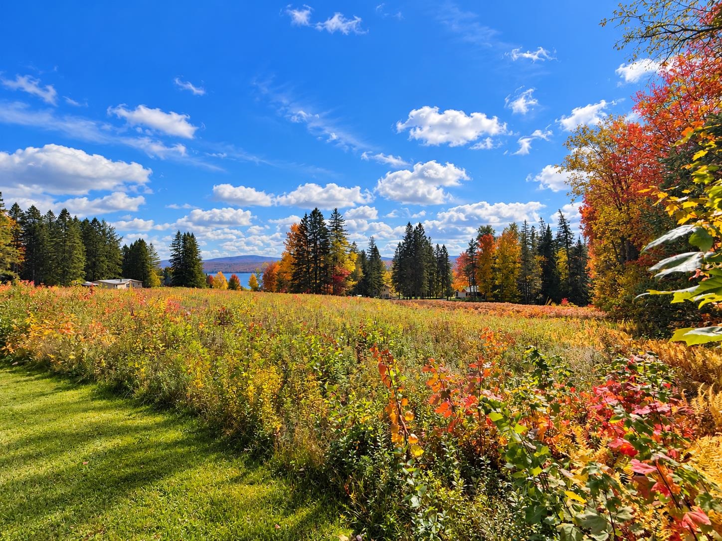 Photo 3 of Land for sale at Route 3, Pittsburg, NH 03592 | MLS# 5073061 | Listing updated on 2026-10-01