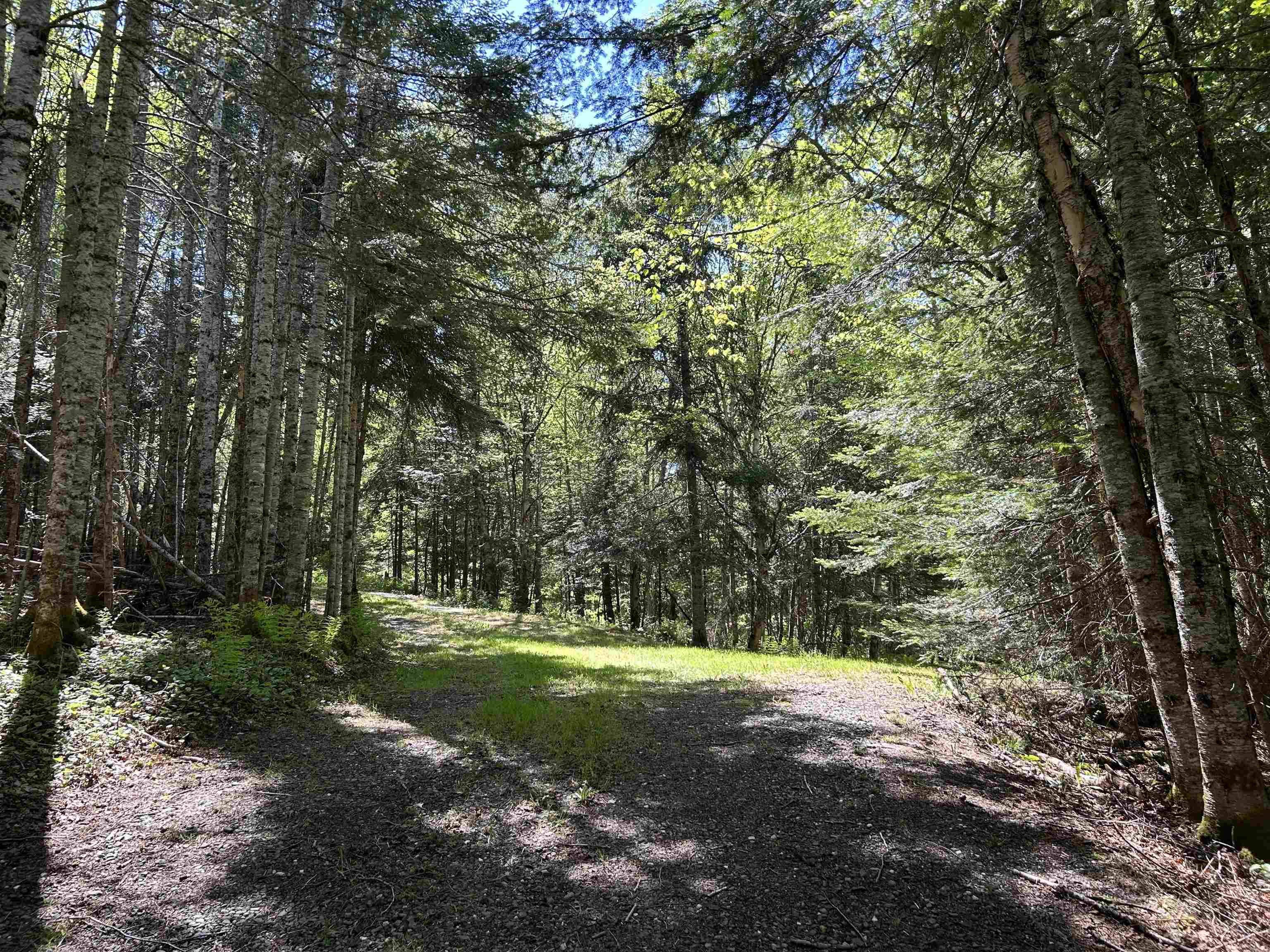 242 Noyes Rd, Stewartstown, NH 03576