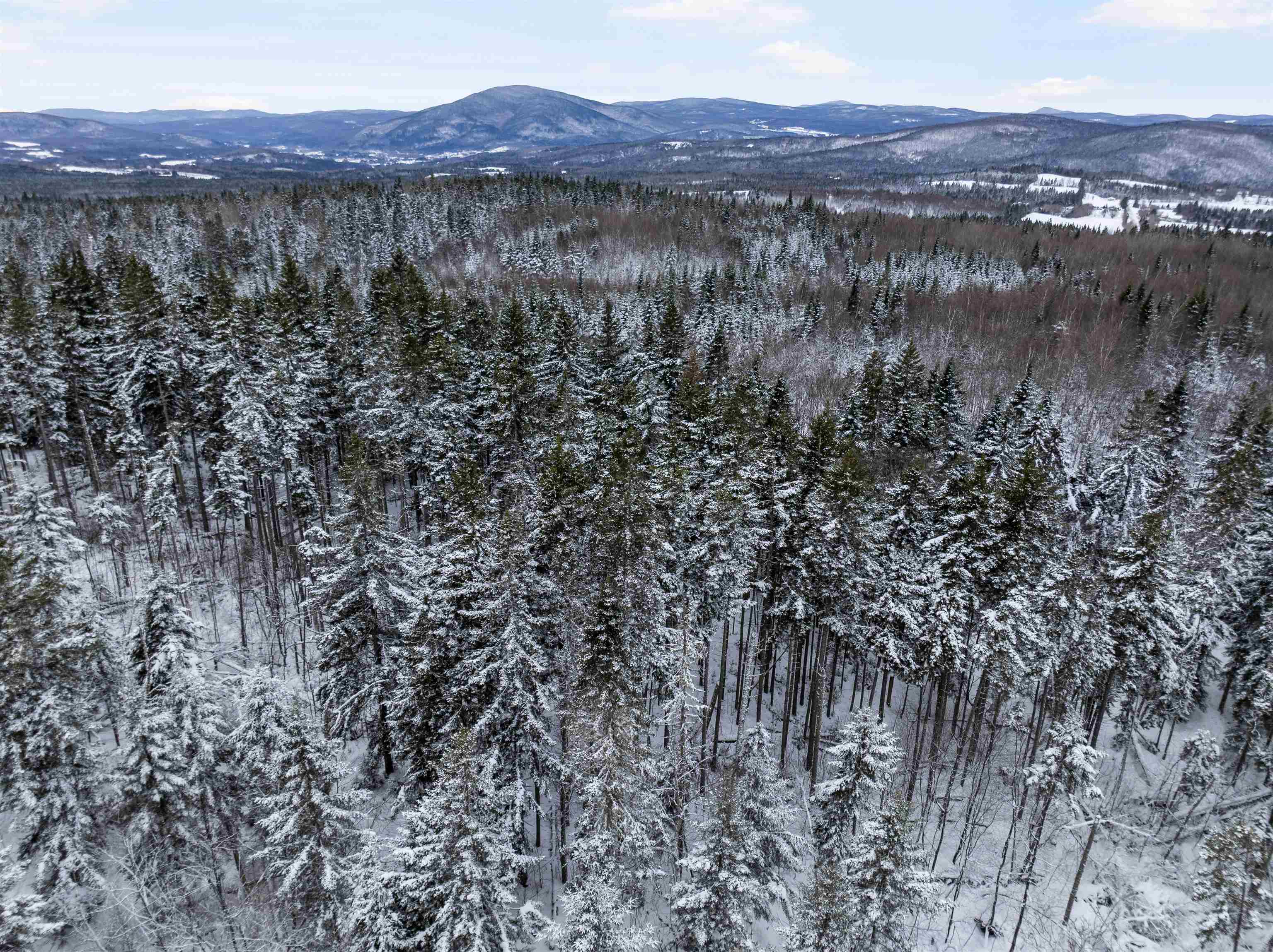 242 Noyes Rd, Stewartstown, NH 03576