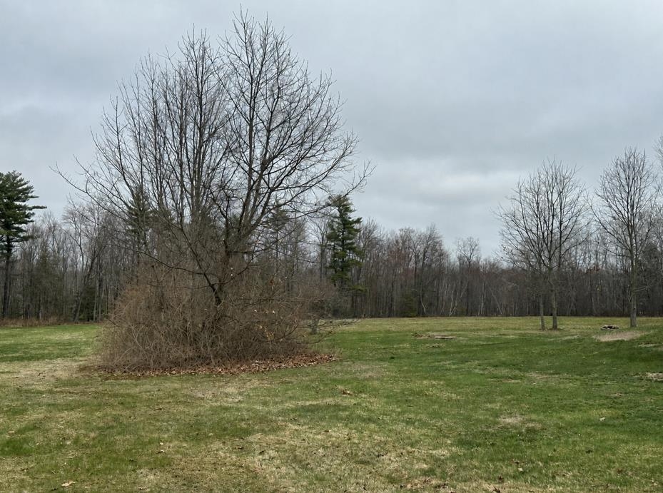 Salmon Falls Rd, Rochester, NH 03868
