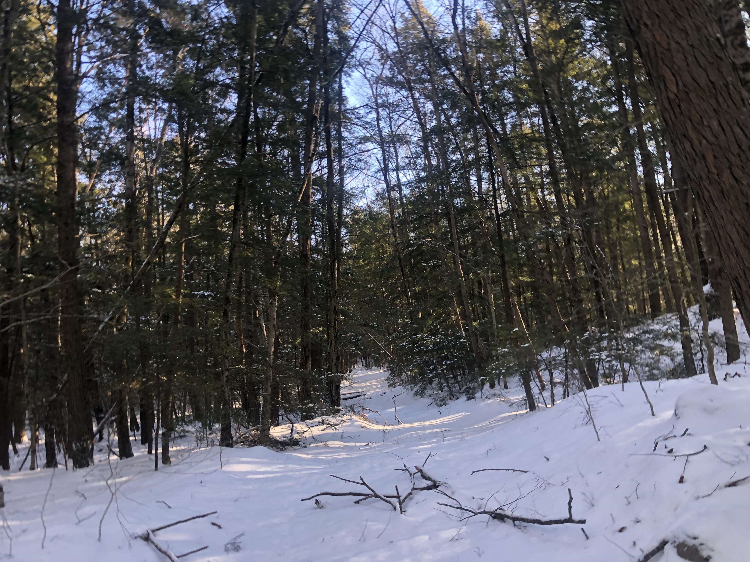 0 Chesterfield Rd, Keene, NH 03431