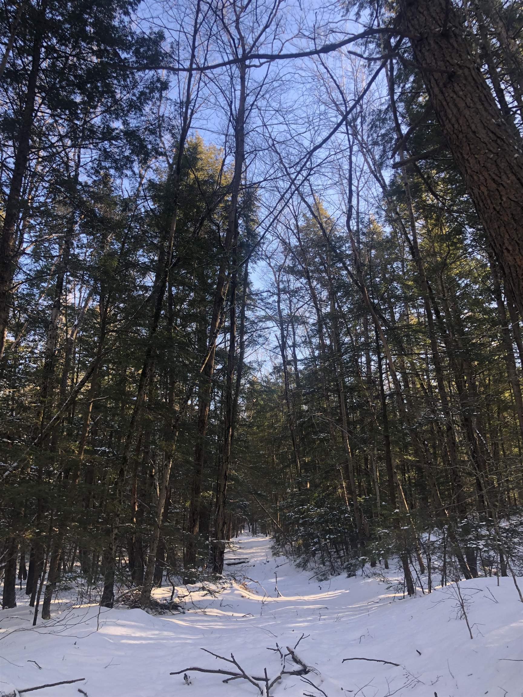 0 Chesterfield Rd, Keene, NH 03431