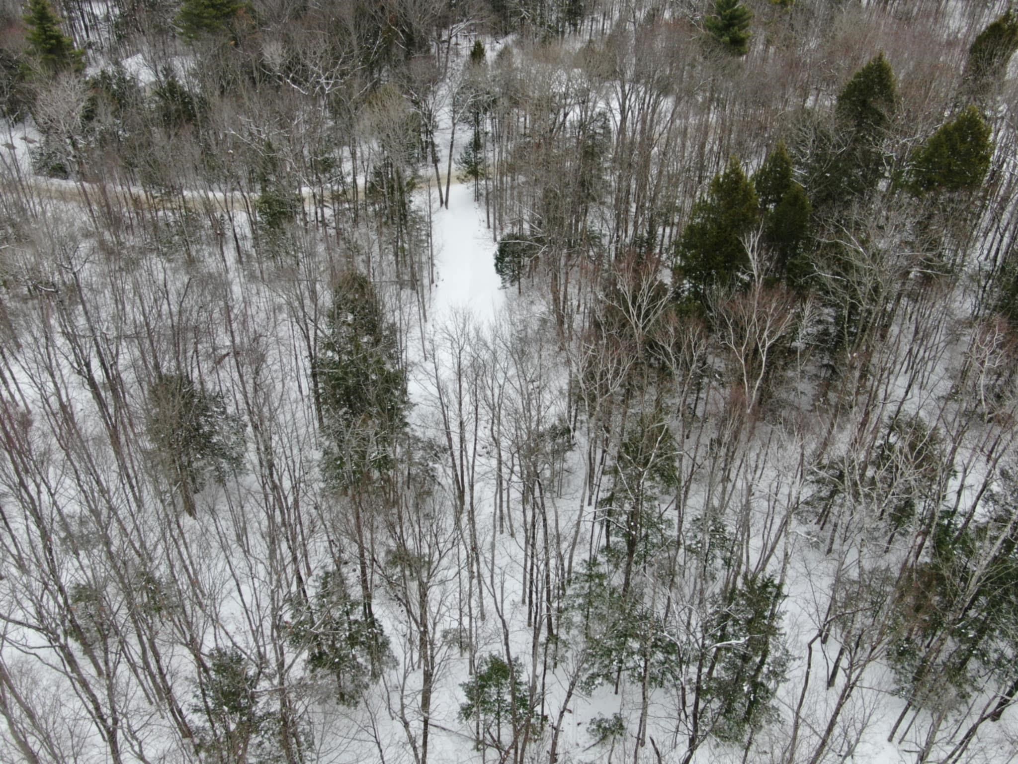 00 Quaker Rd, New Durham, NH 03855