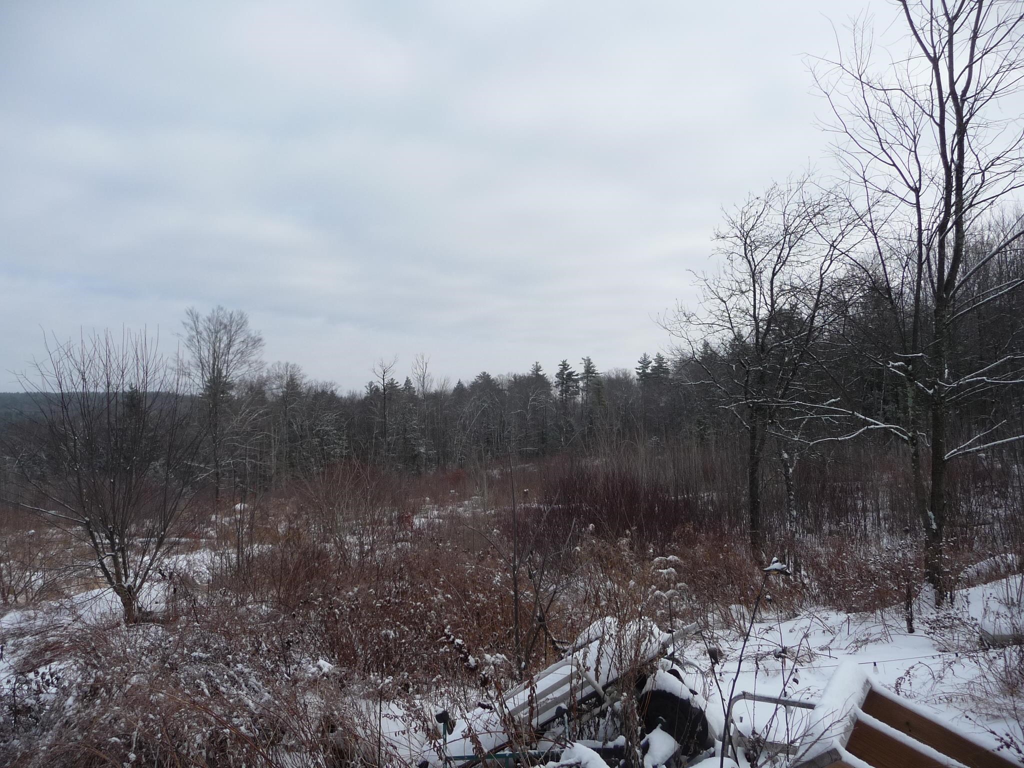 433 North Rd, Deering, NH 03244